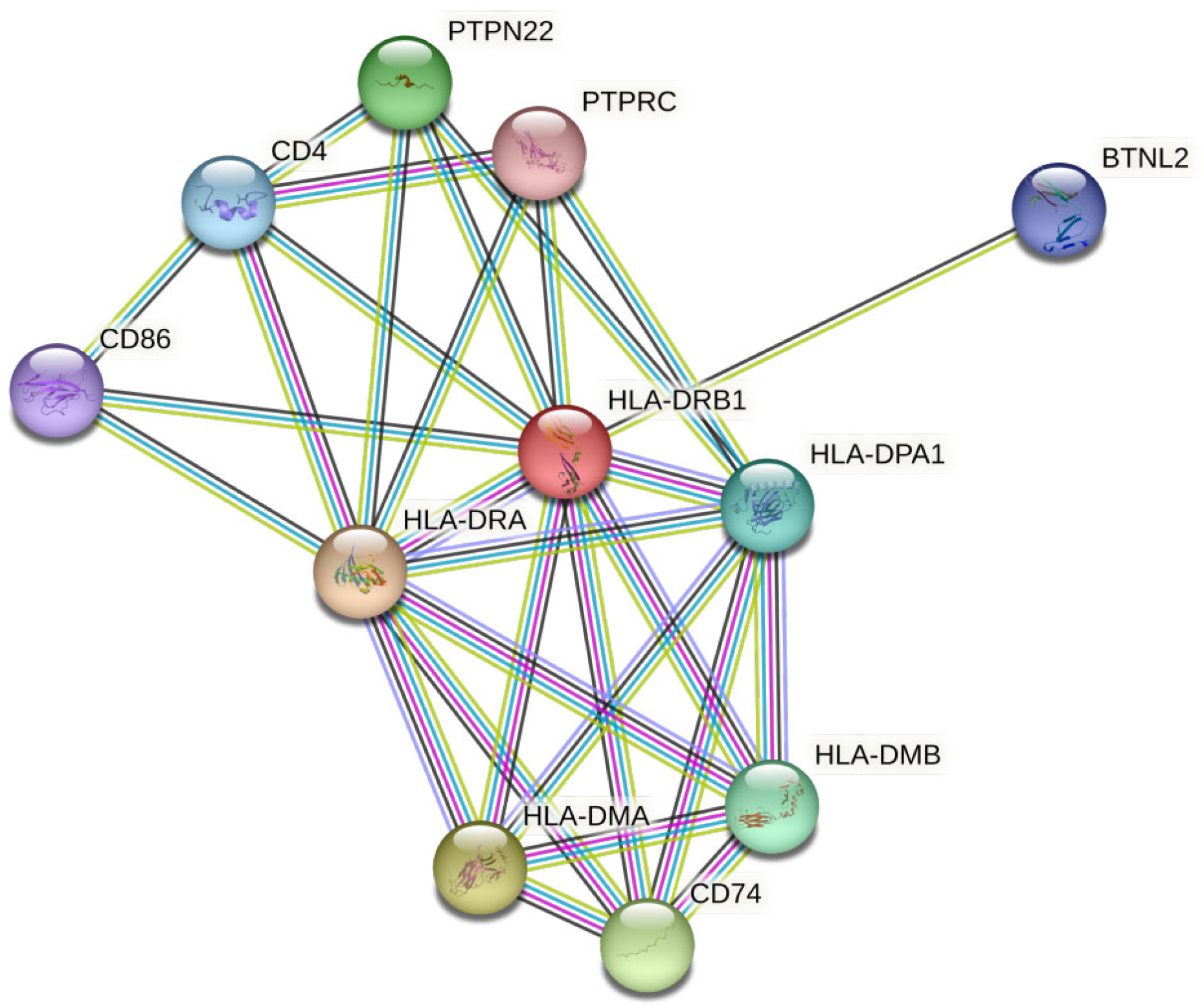 Medicina 59 01116 g004