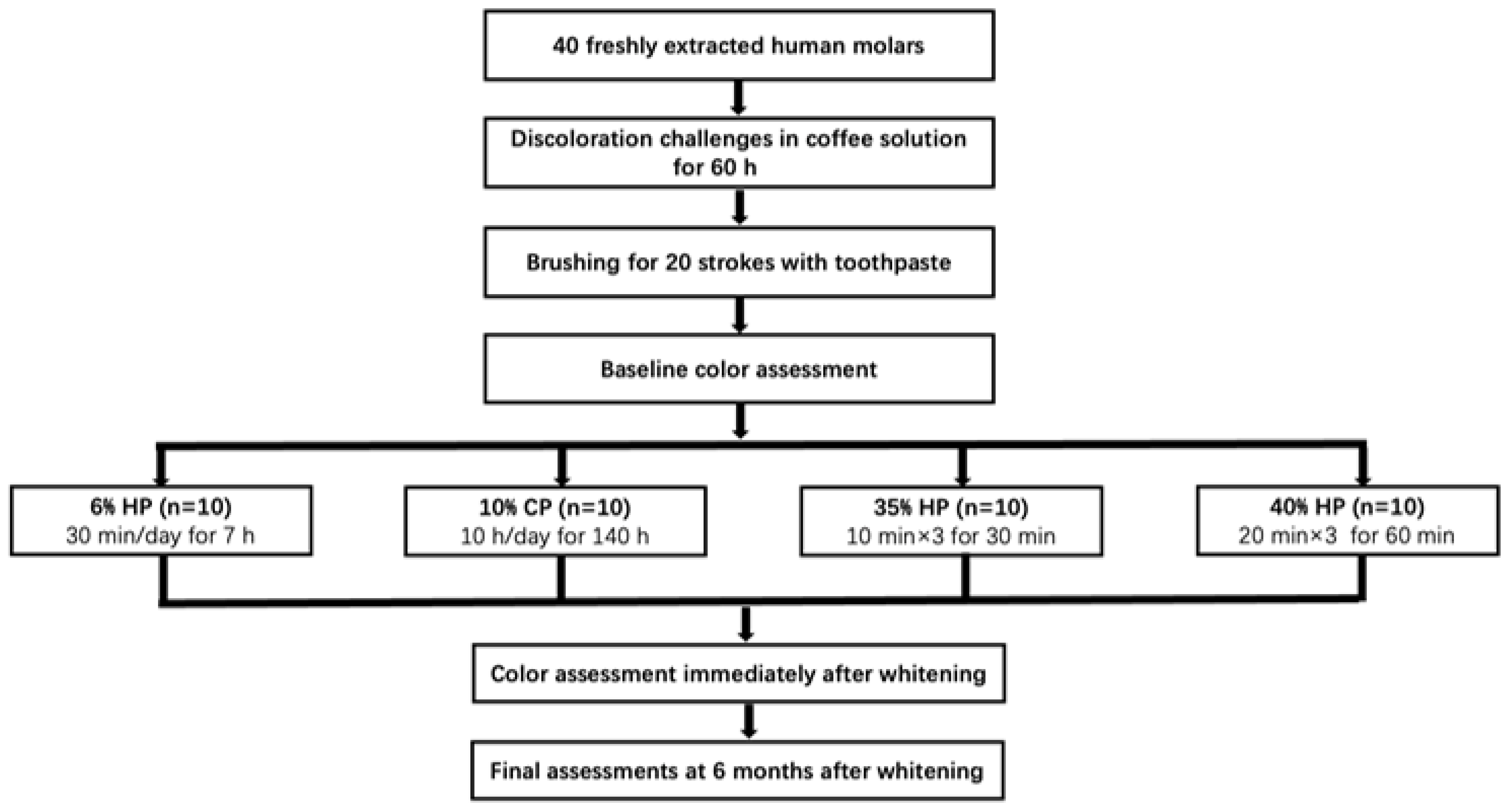 Medicina 59 01130 g001 Medicina 59 01130 g001
