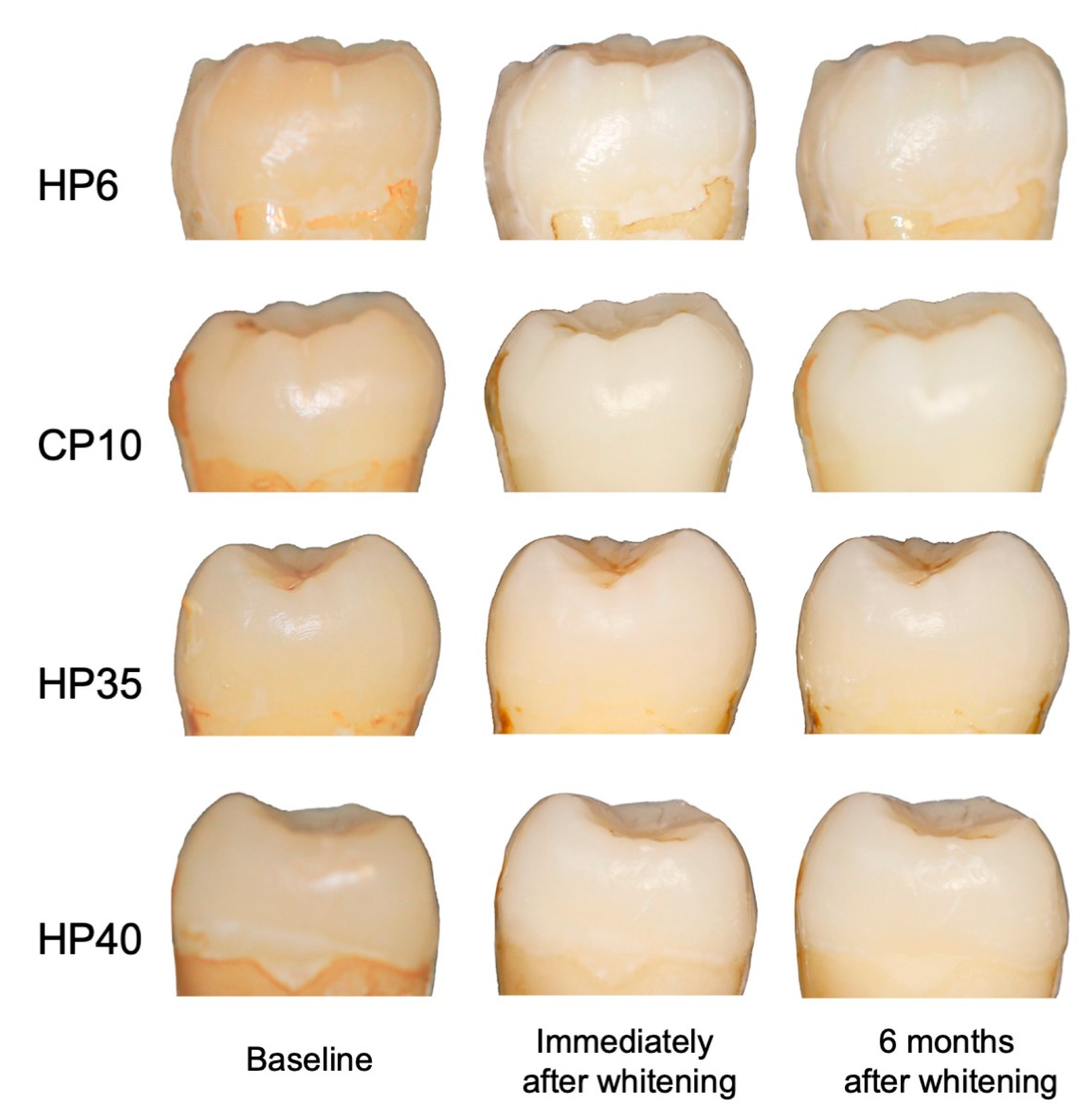 Medicina 59 01130 g002 Medicina 59 01130 g002