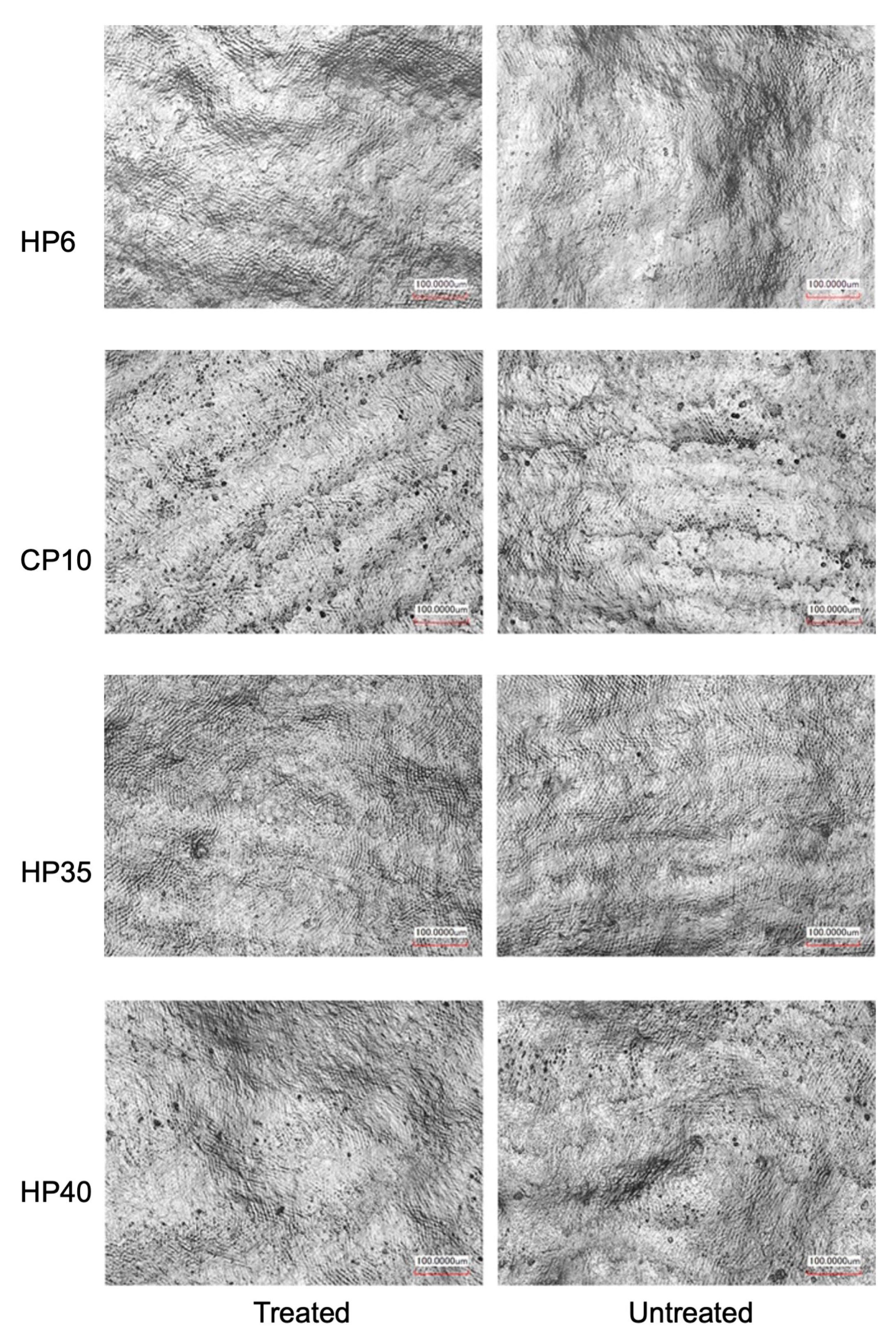 Medicina 59 01130 g003 Medicina 59 01130 g003