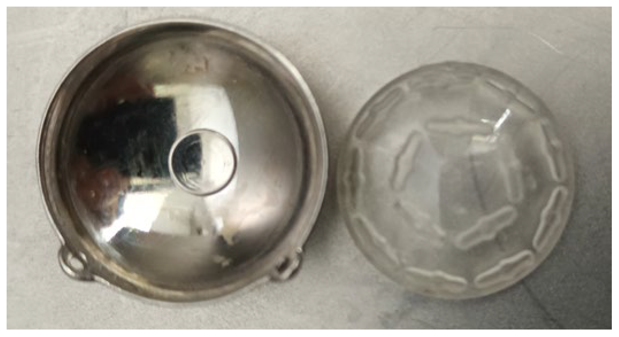 Medicina 59 01131 g002