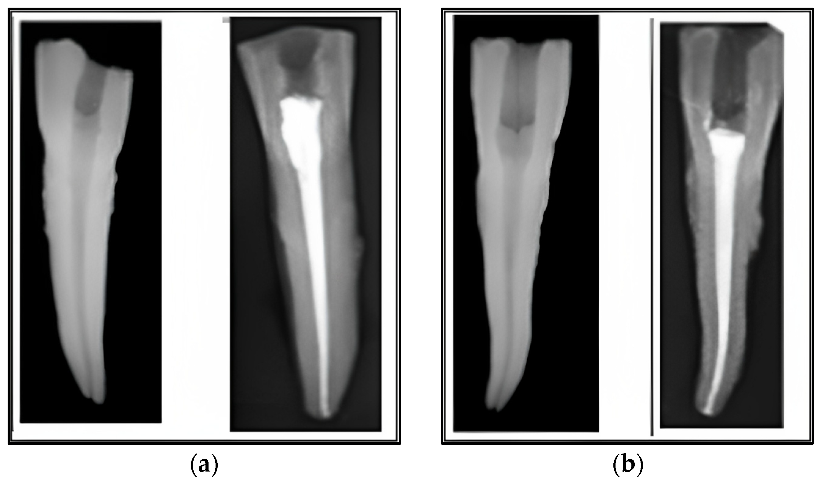 Medicina 59 01137 g002
