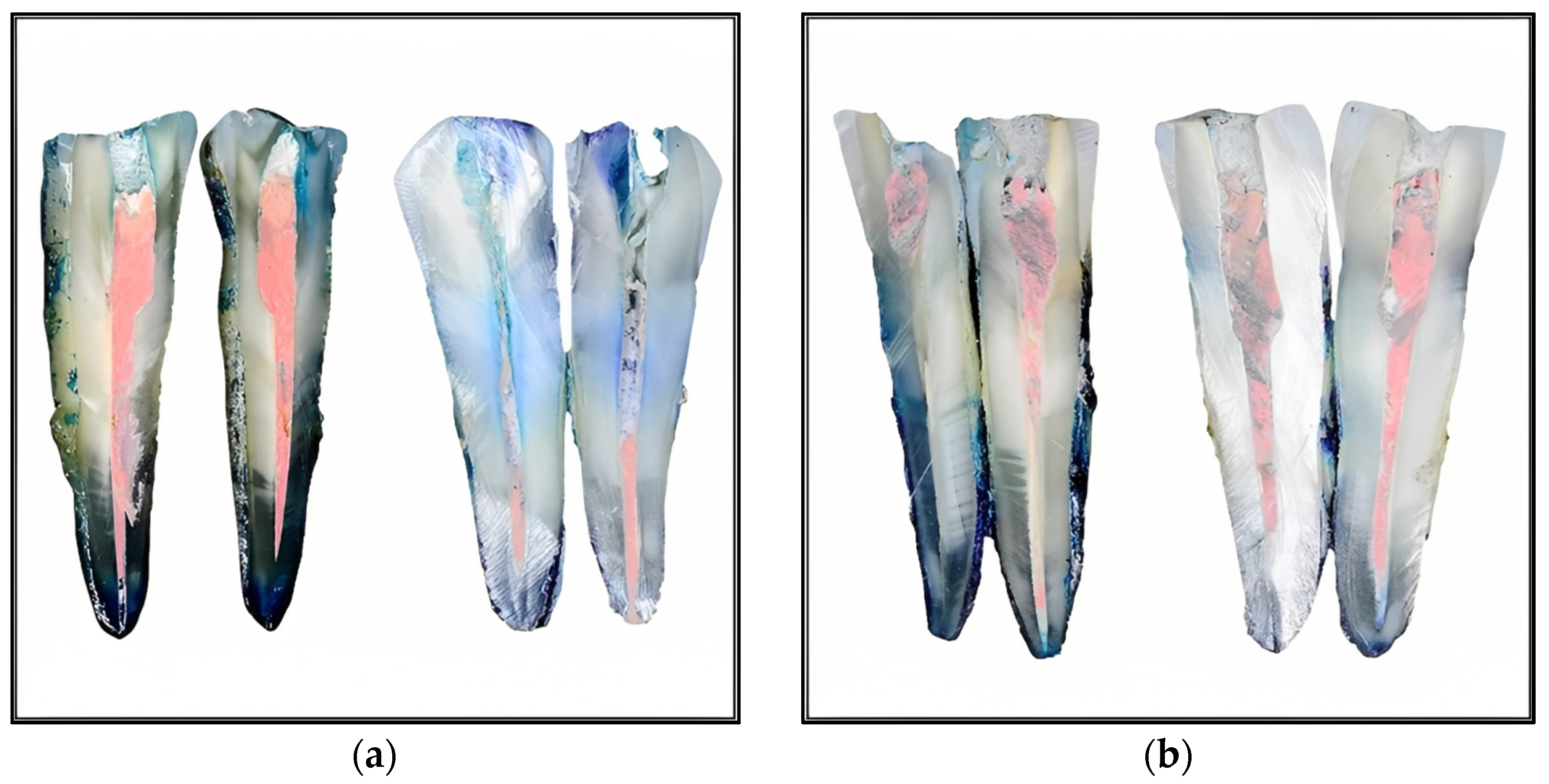 Medicina 59 01137 g003