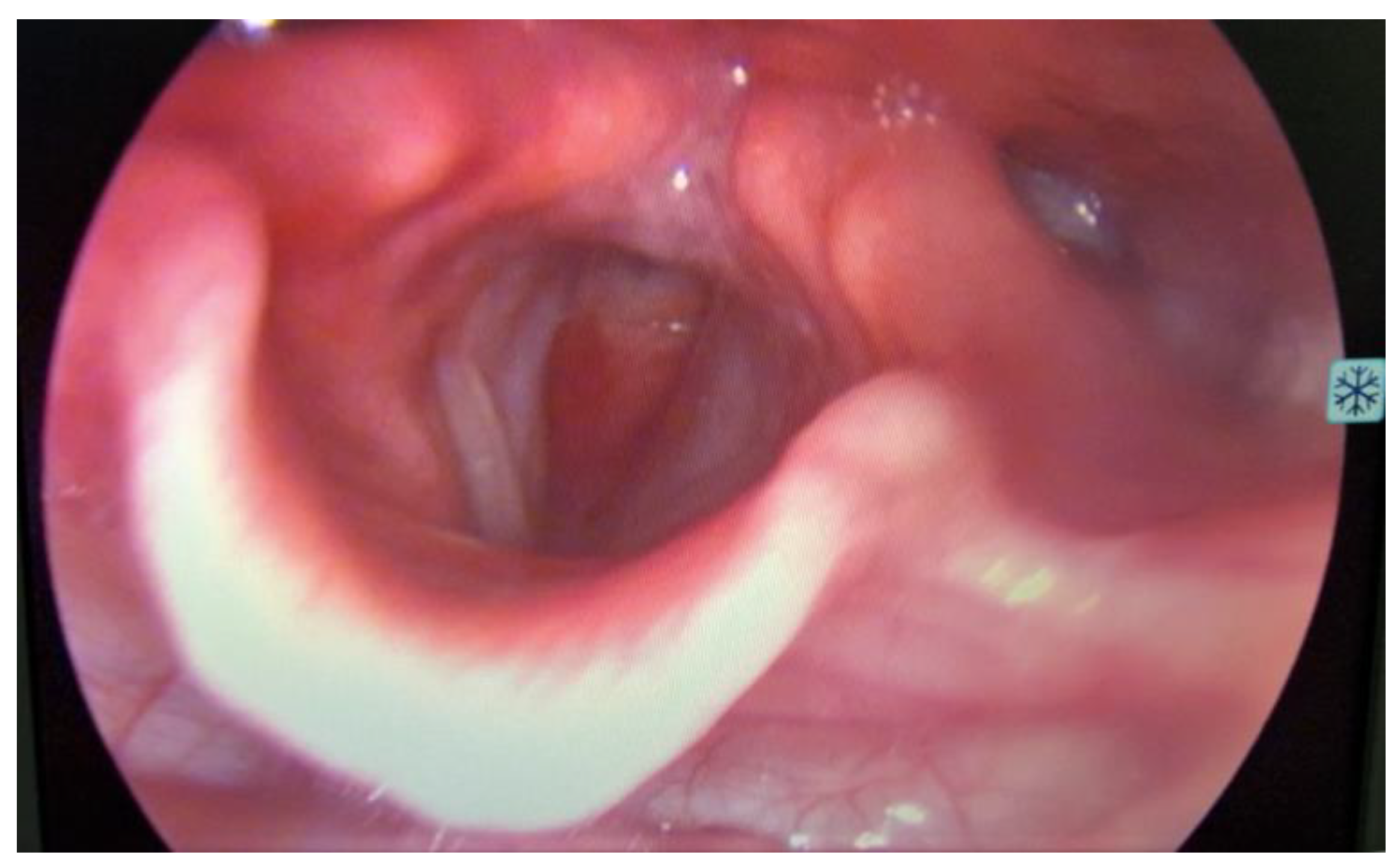 Medicina 59 01140 g001 Medicina 59 01140 g001