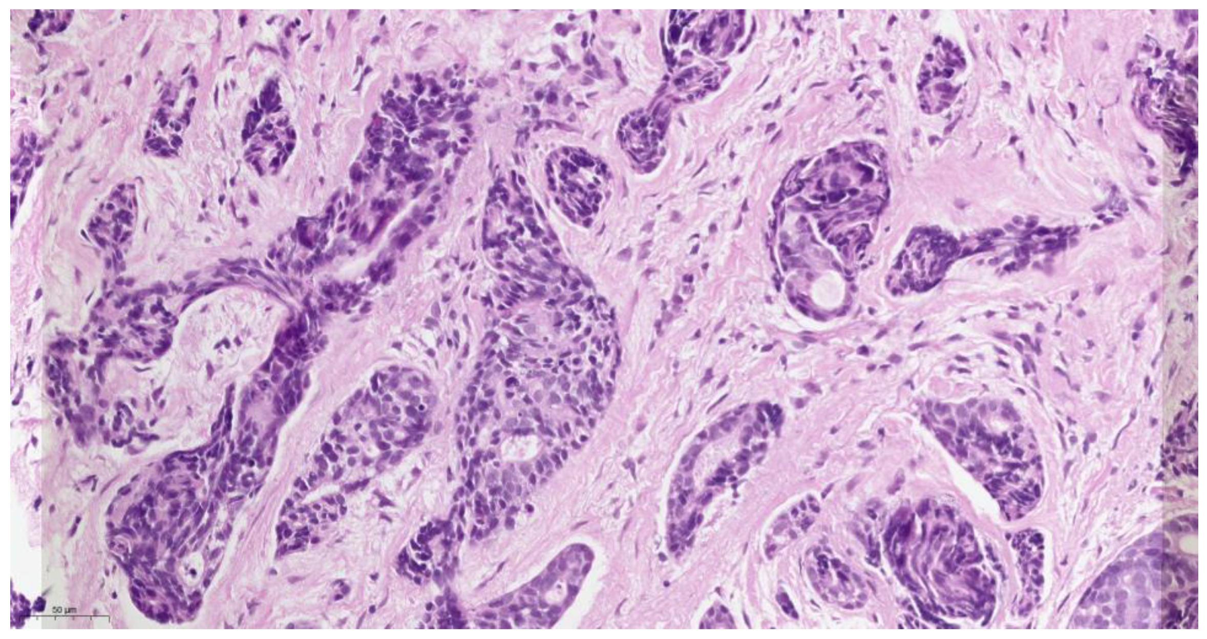 Medicina 59 01140 g003 Medicina 59 01140 g003