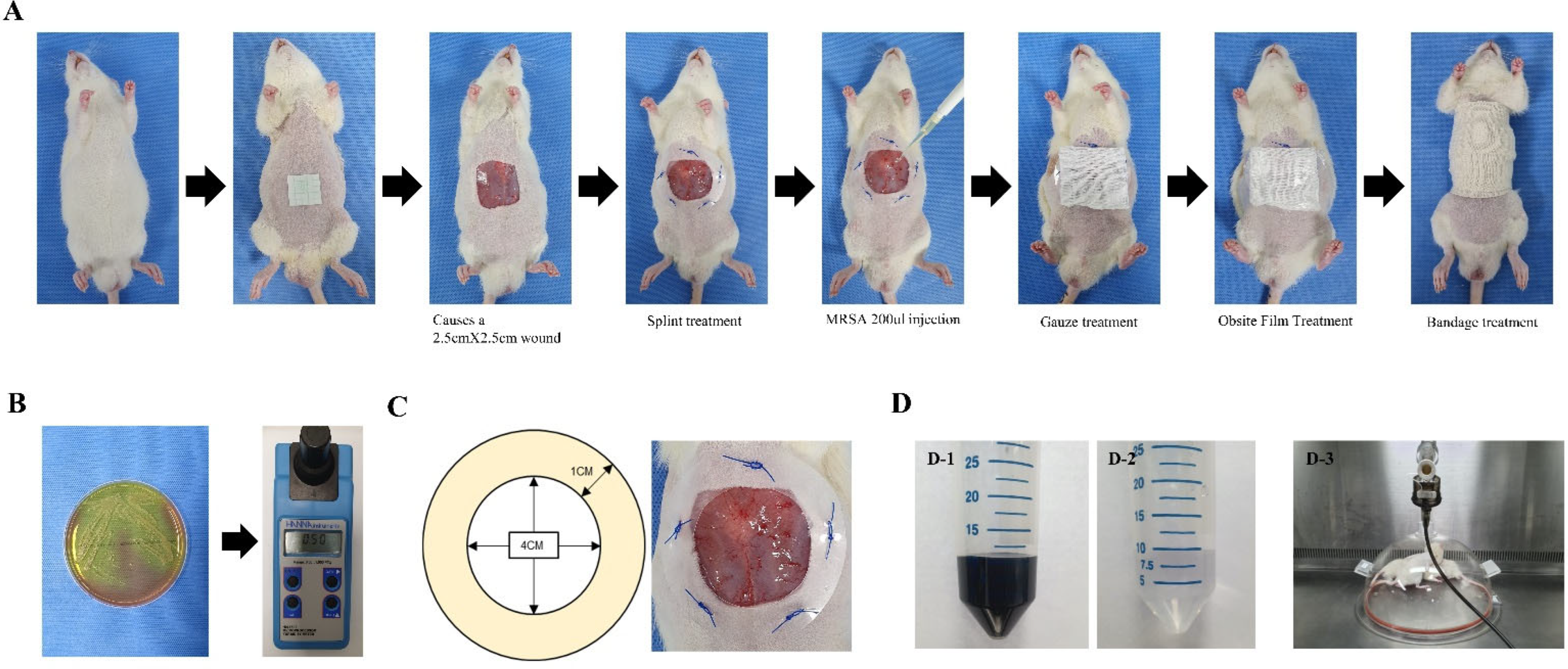 Medicina 59 01155 g002