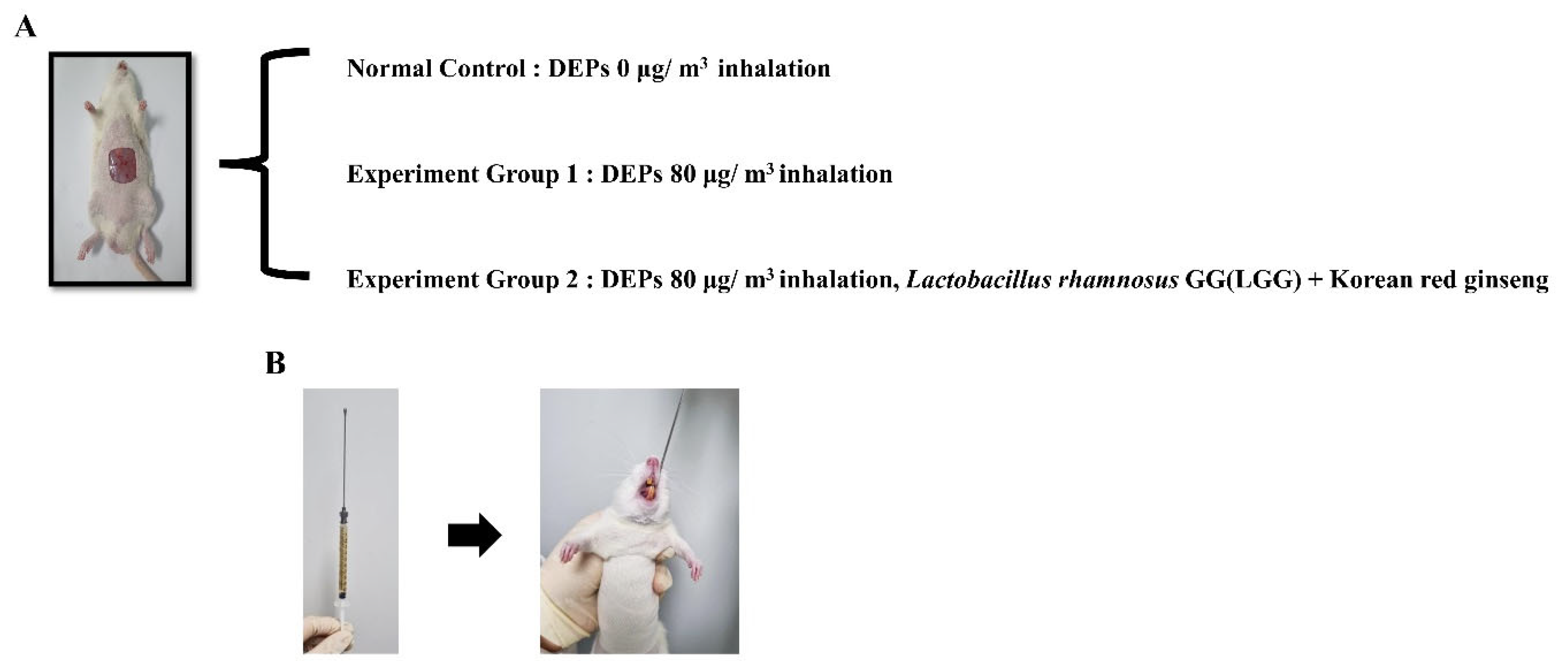 Medicina 59 01155 g004