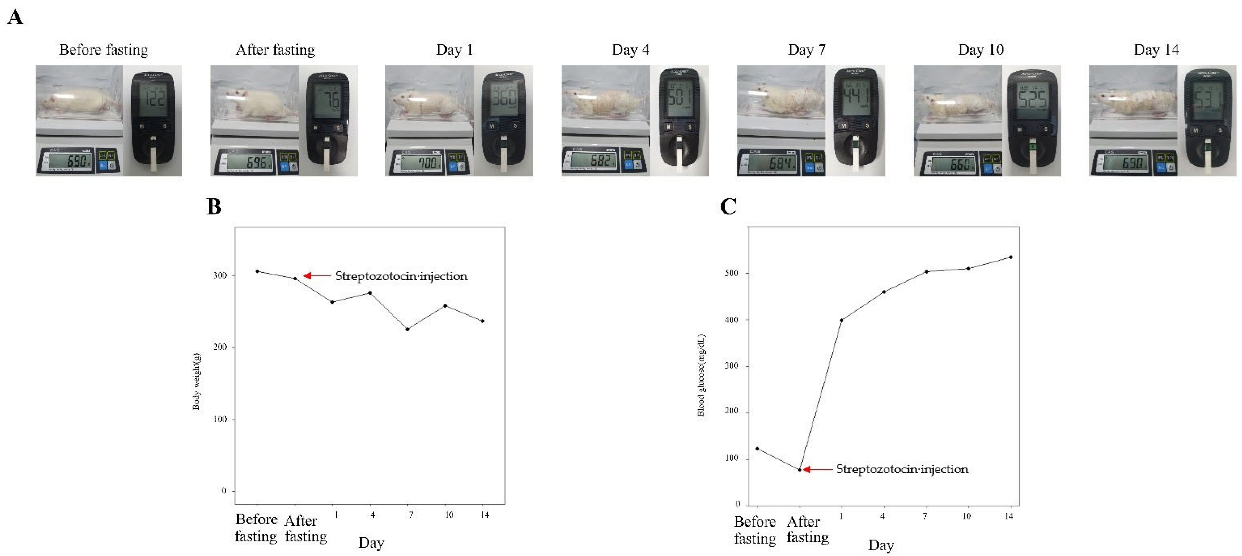 Medicina 59 01155 g005