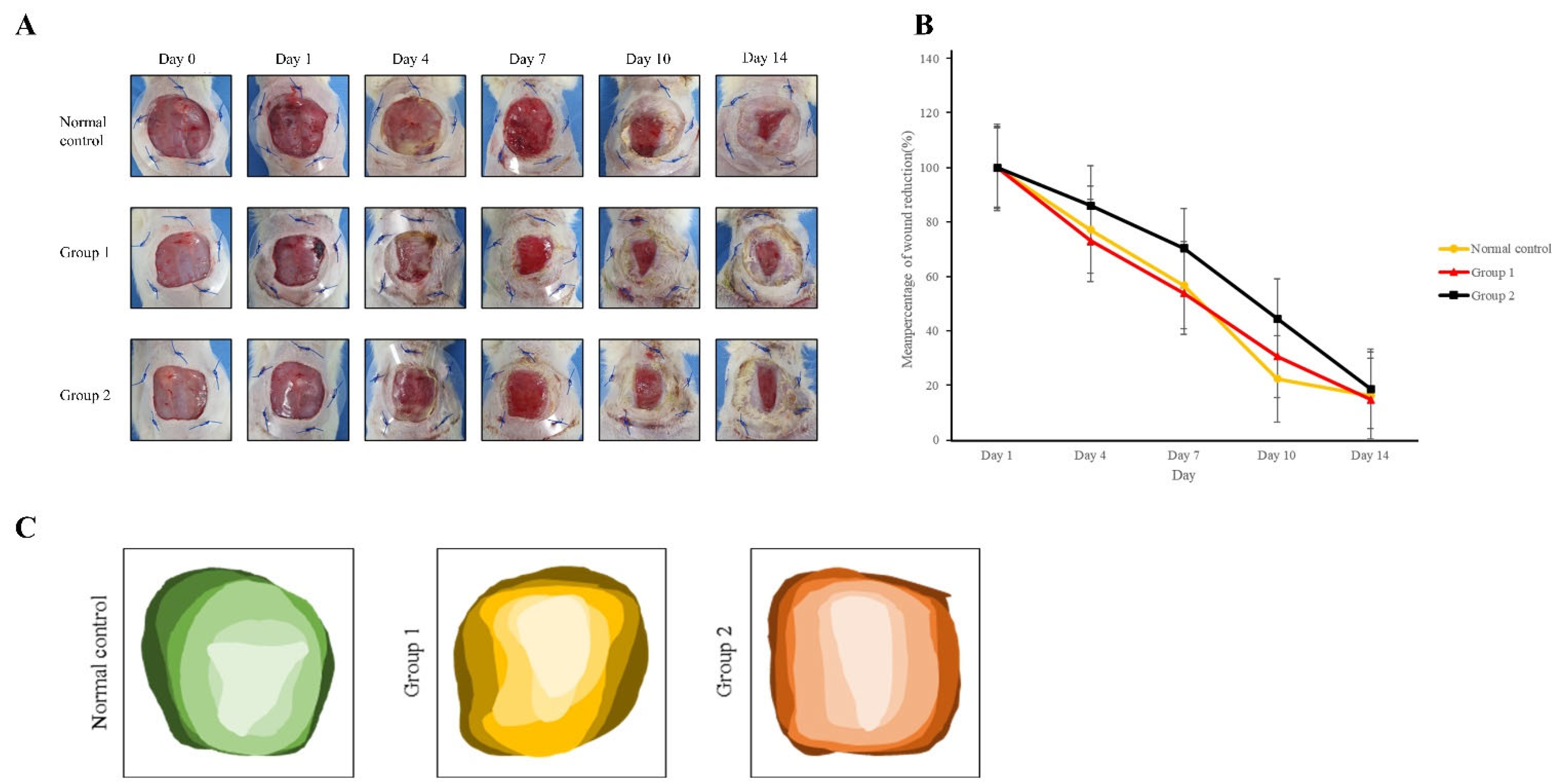 Medicina 59 01155 g006