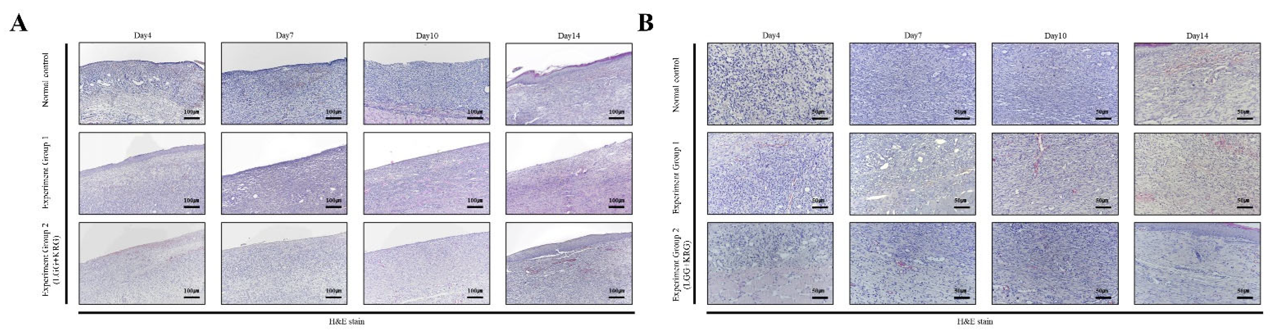 Medicina 59 01155 g012