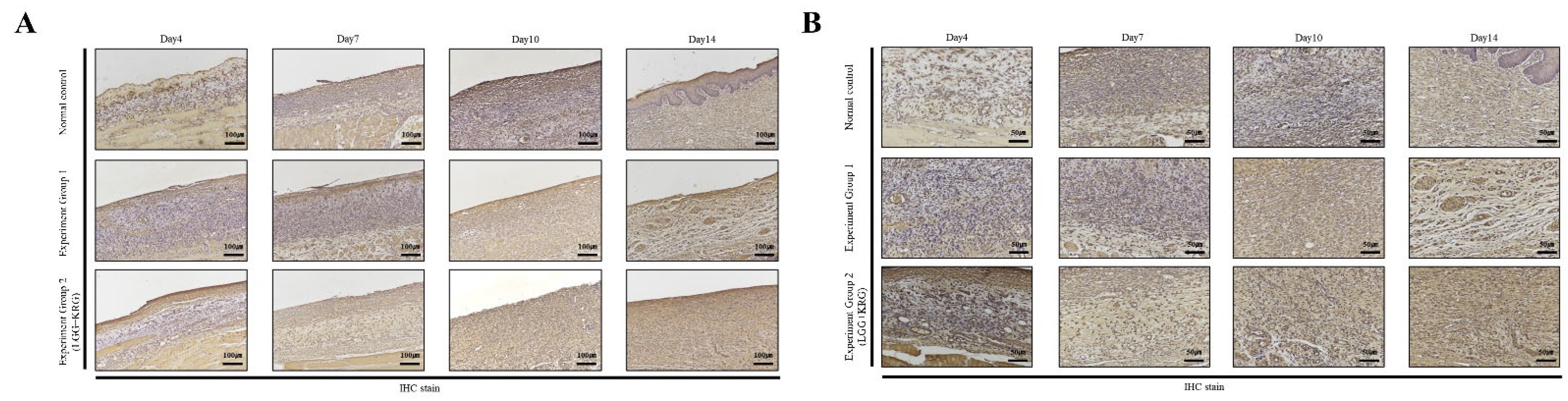 Medicina 59 01155 g015