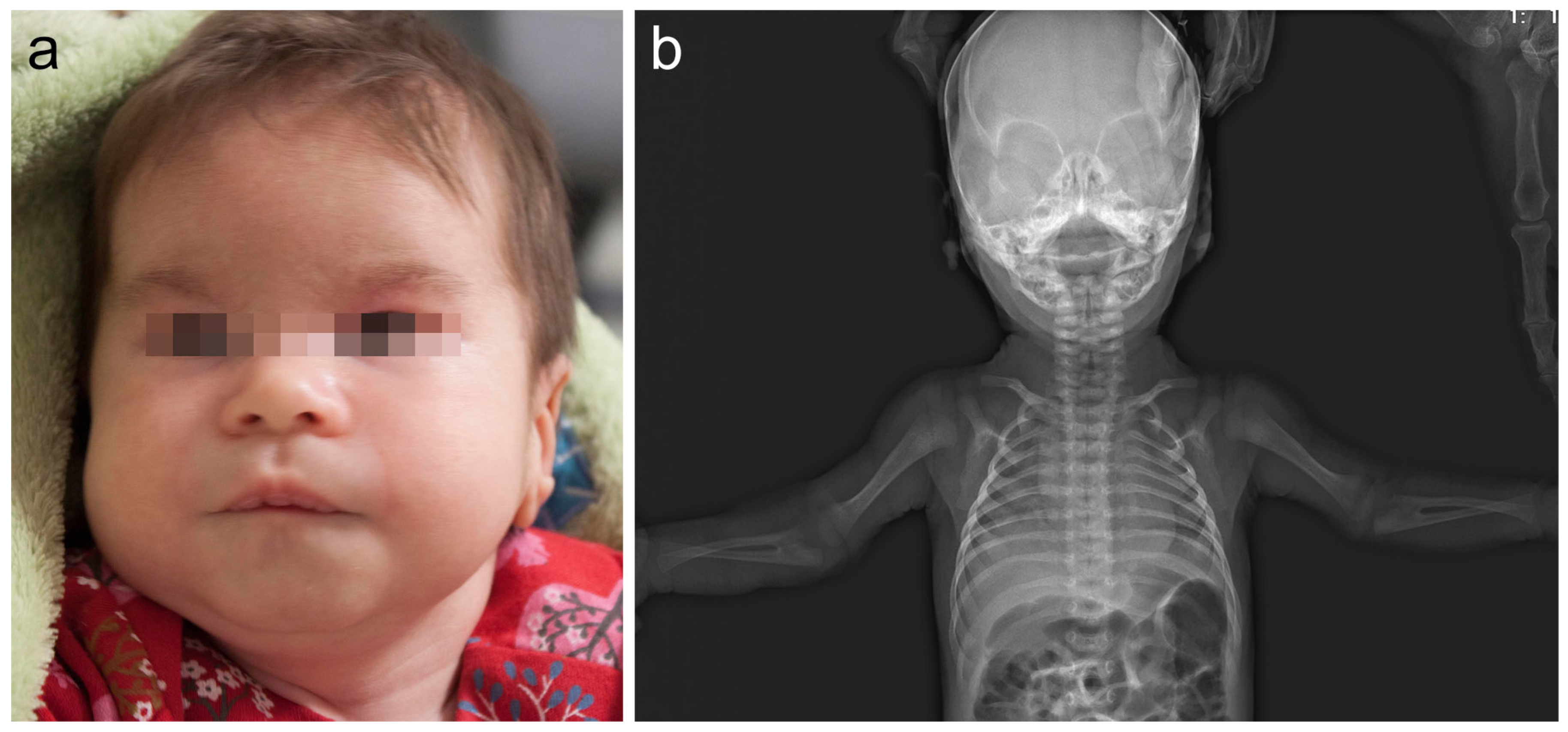 Medicina 59 01156 g001