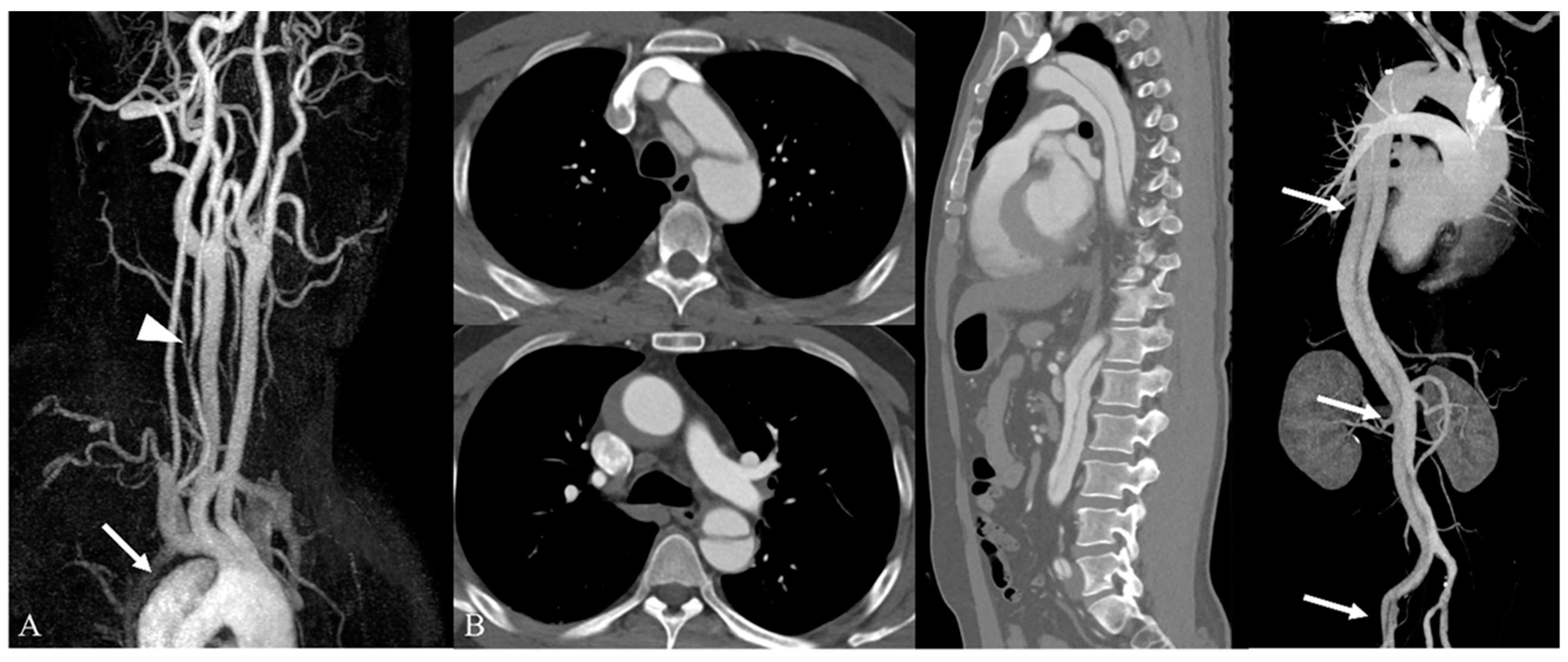 Medicina 59 01172 g002