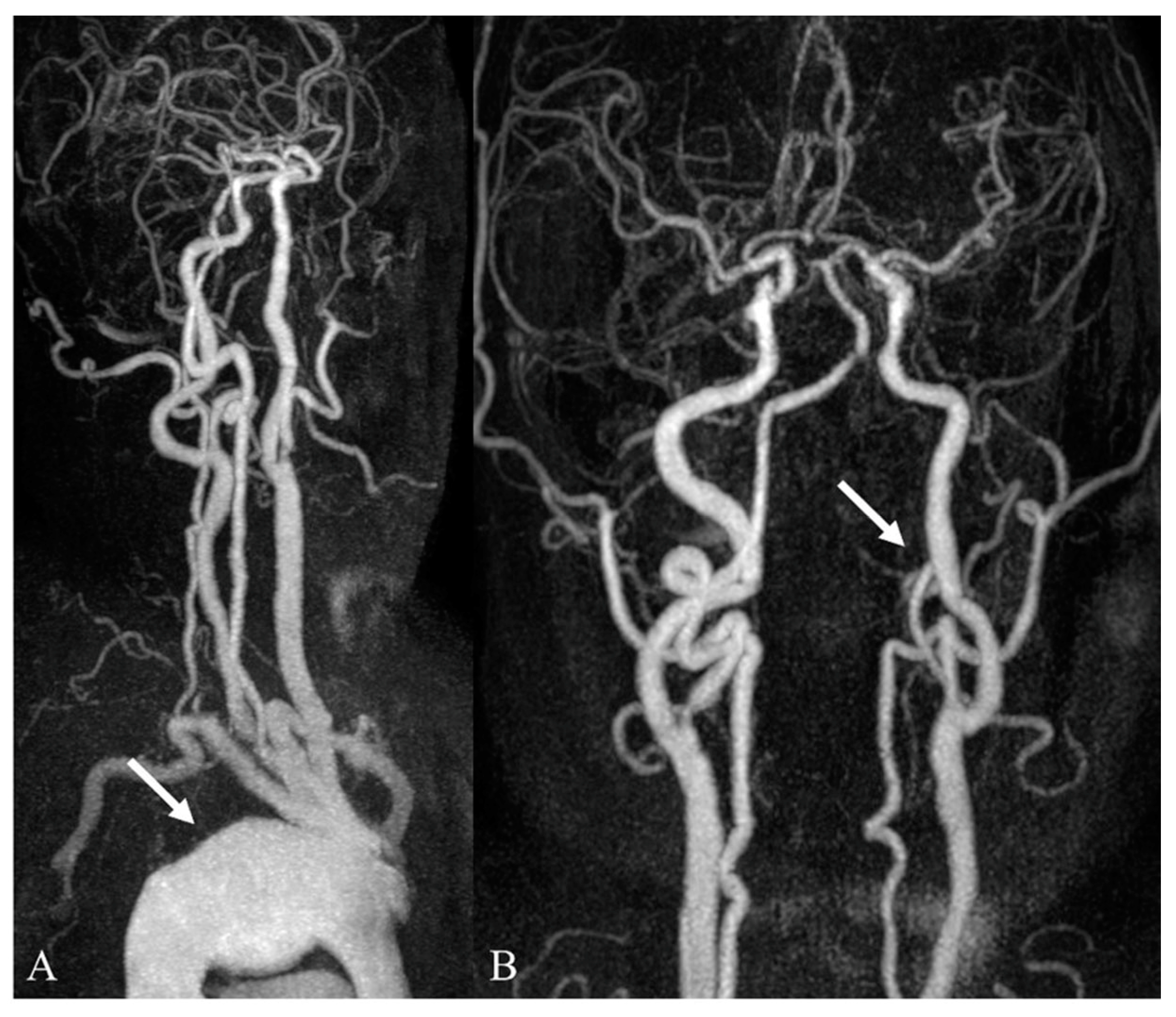 Medicina 59 01172 g004