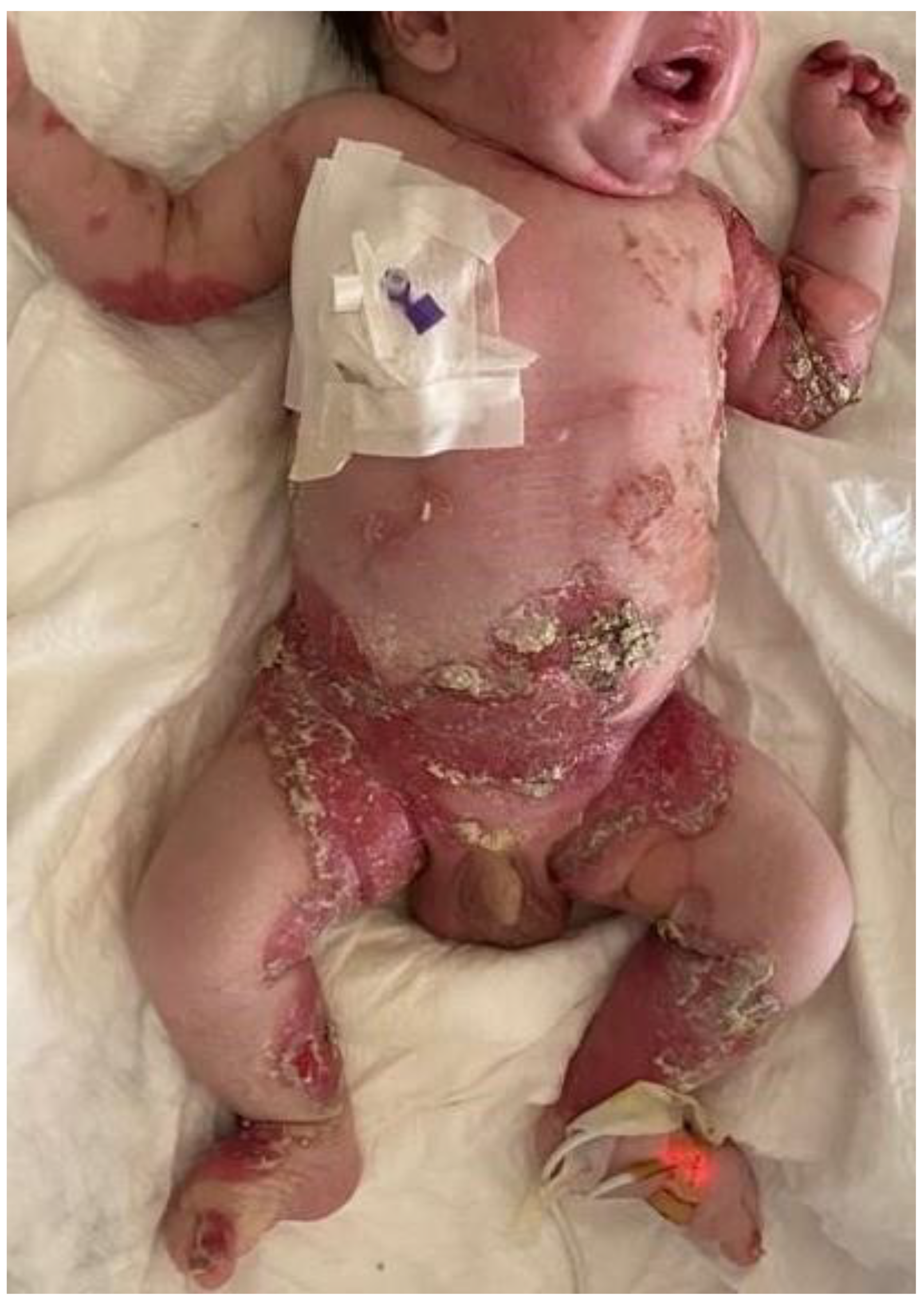 Medicina 59 01185 g001 Medicina 59 01185 g001