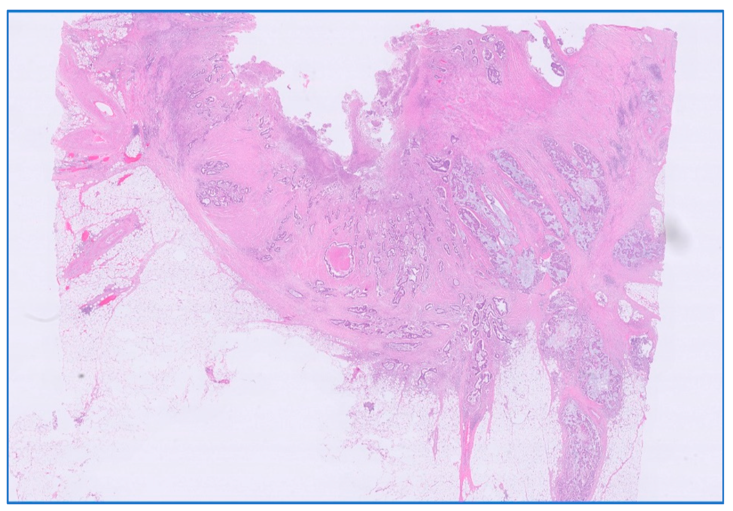 Medicina 59 01224 g006 Medicina 59 01224 g006