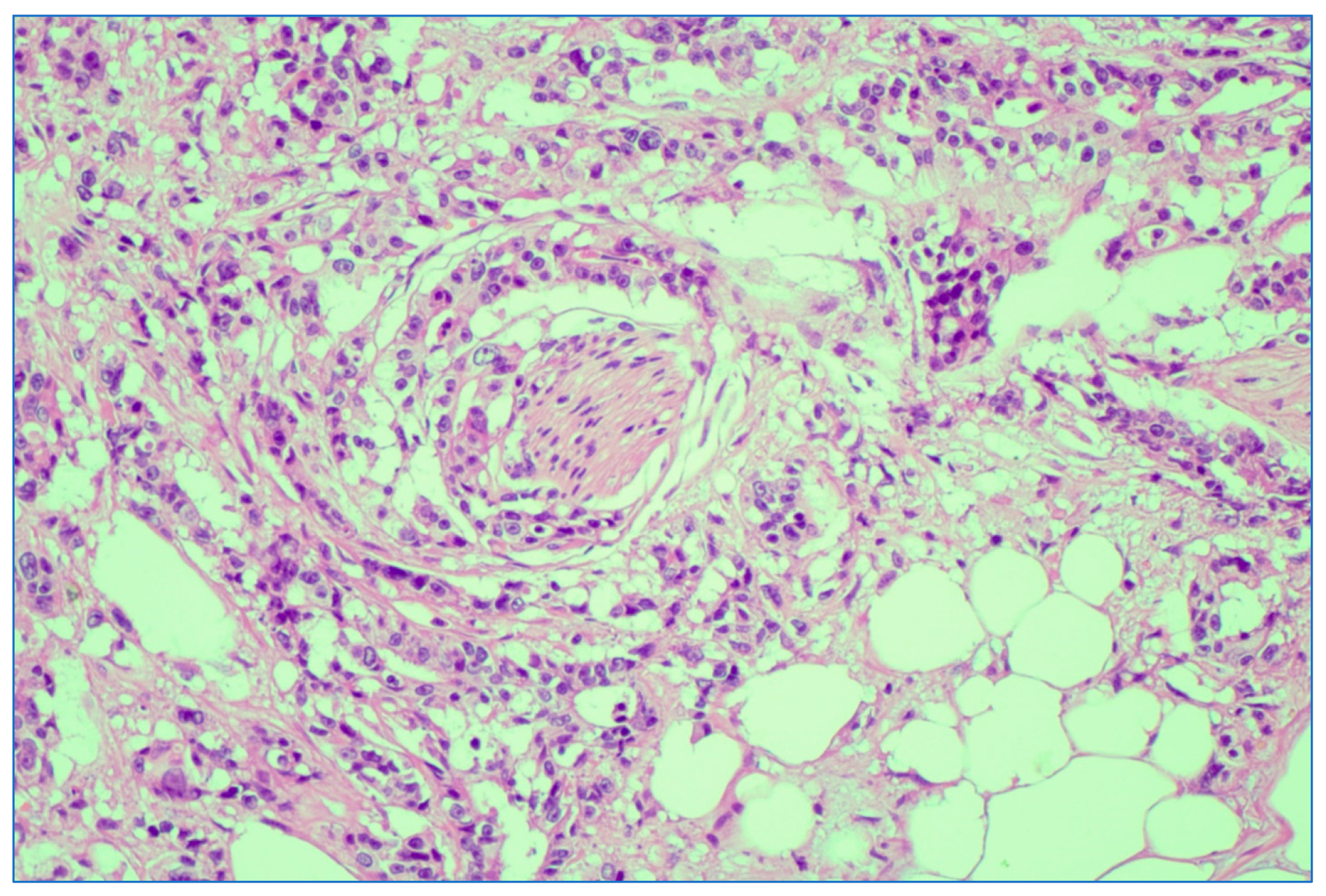 Medicina 59 01224 g008 Medicina 59 01224 g008