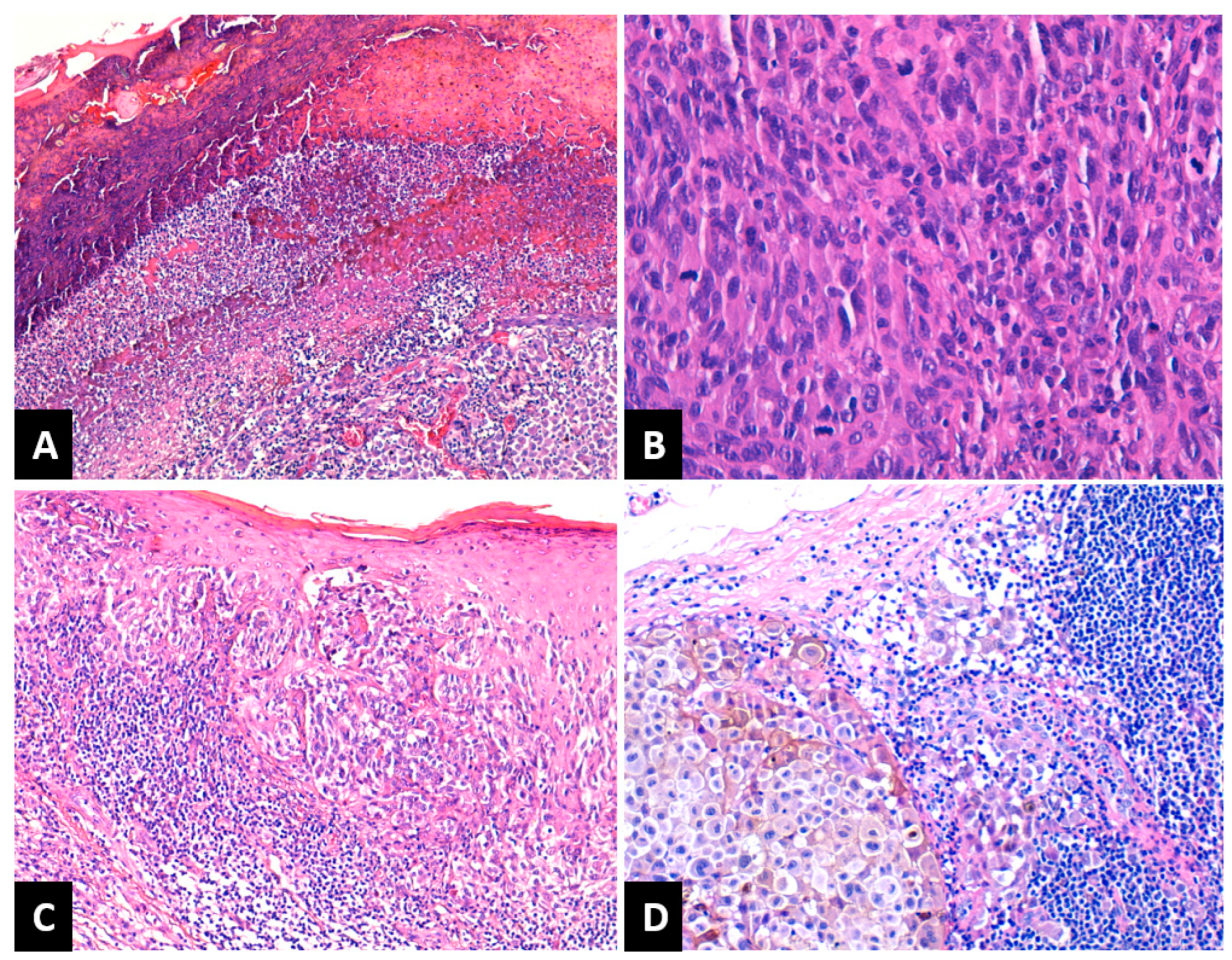 Medicina 59 01241 g001