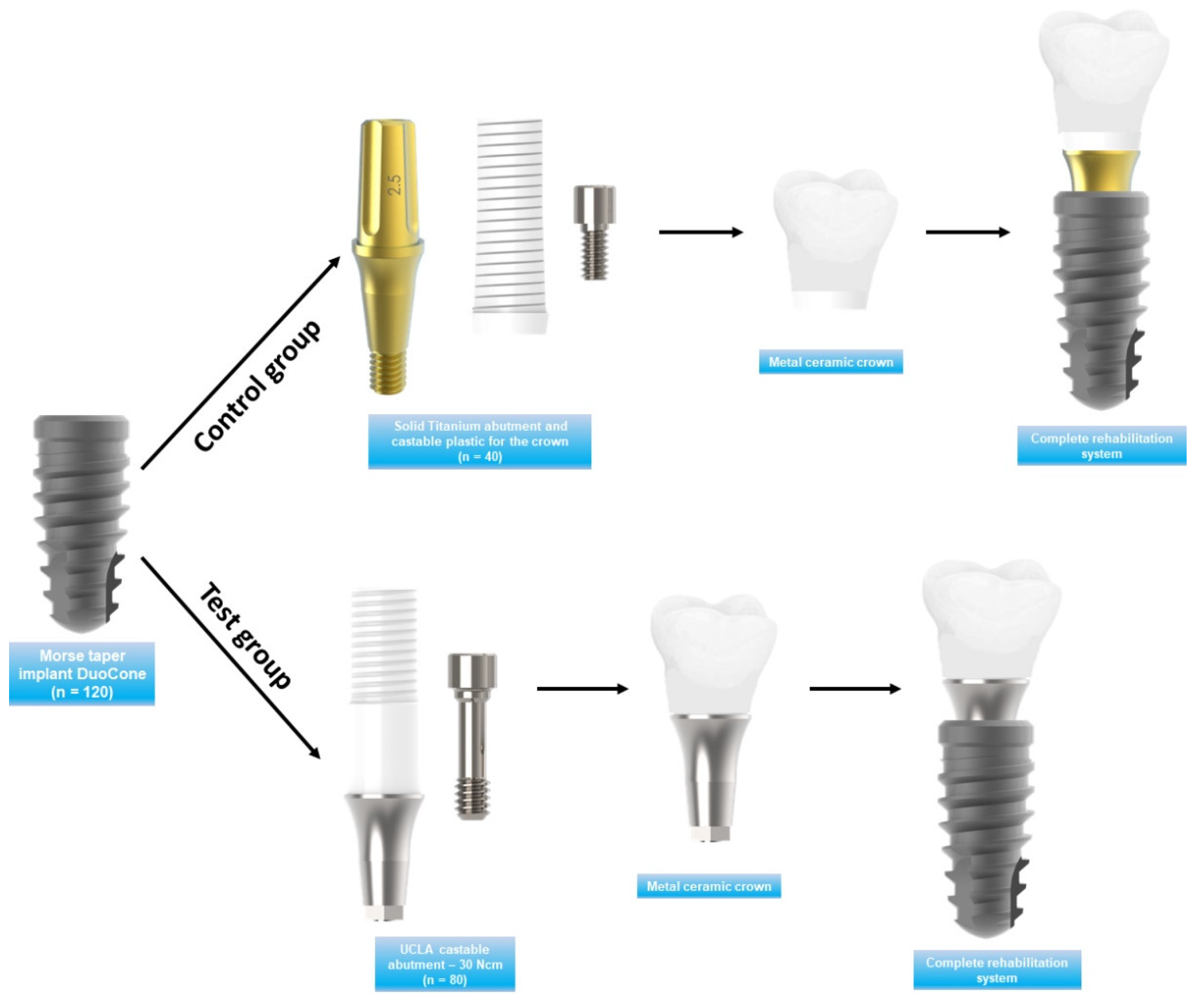Medicina 59 01250 g001