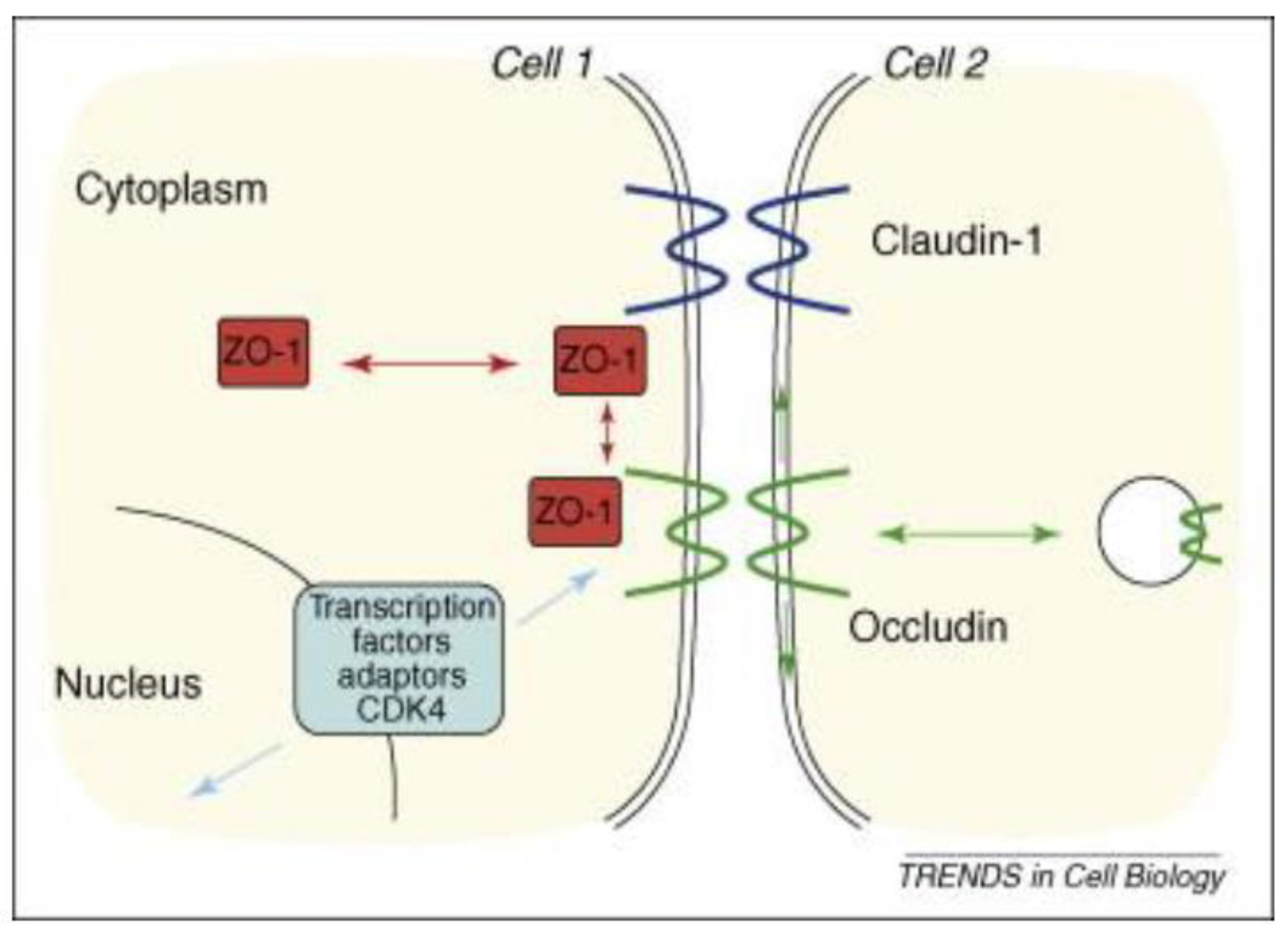 Medicina 59 01254 g001 Medicina 59 01254 g001