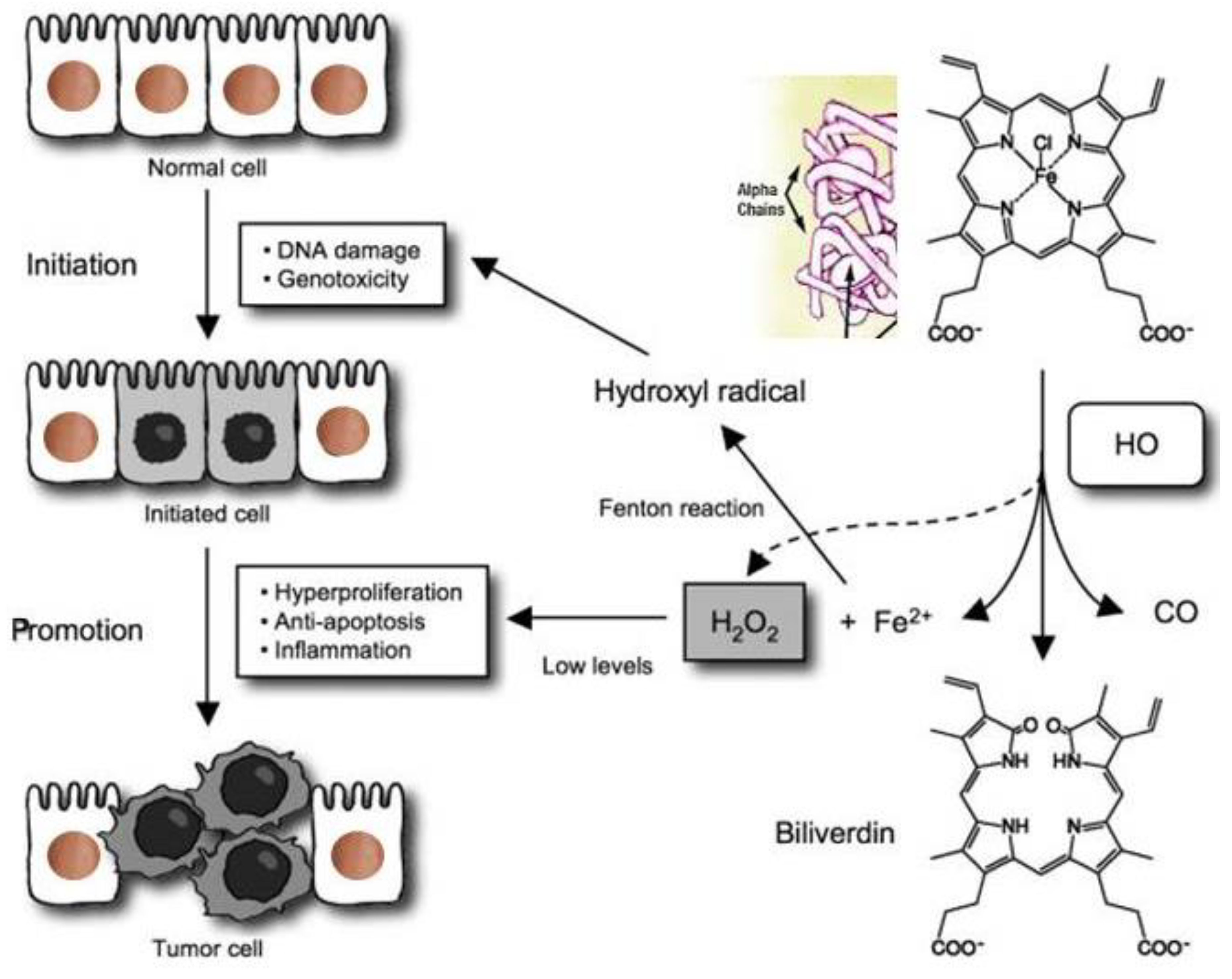 Medicina 59 01254 g004 Medicina 59 01254 g004
