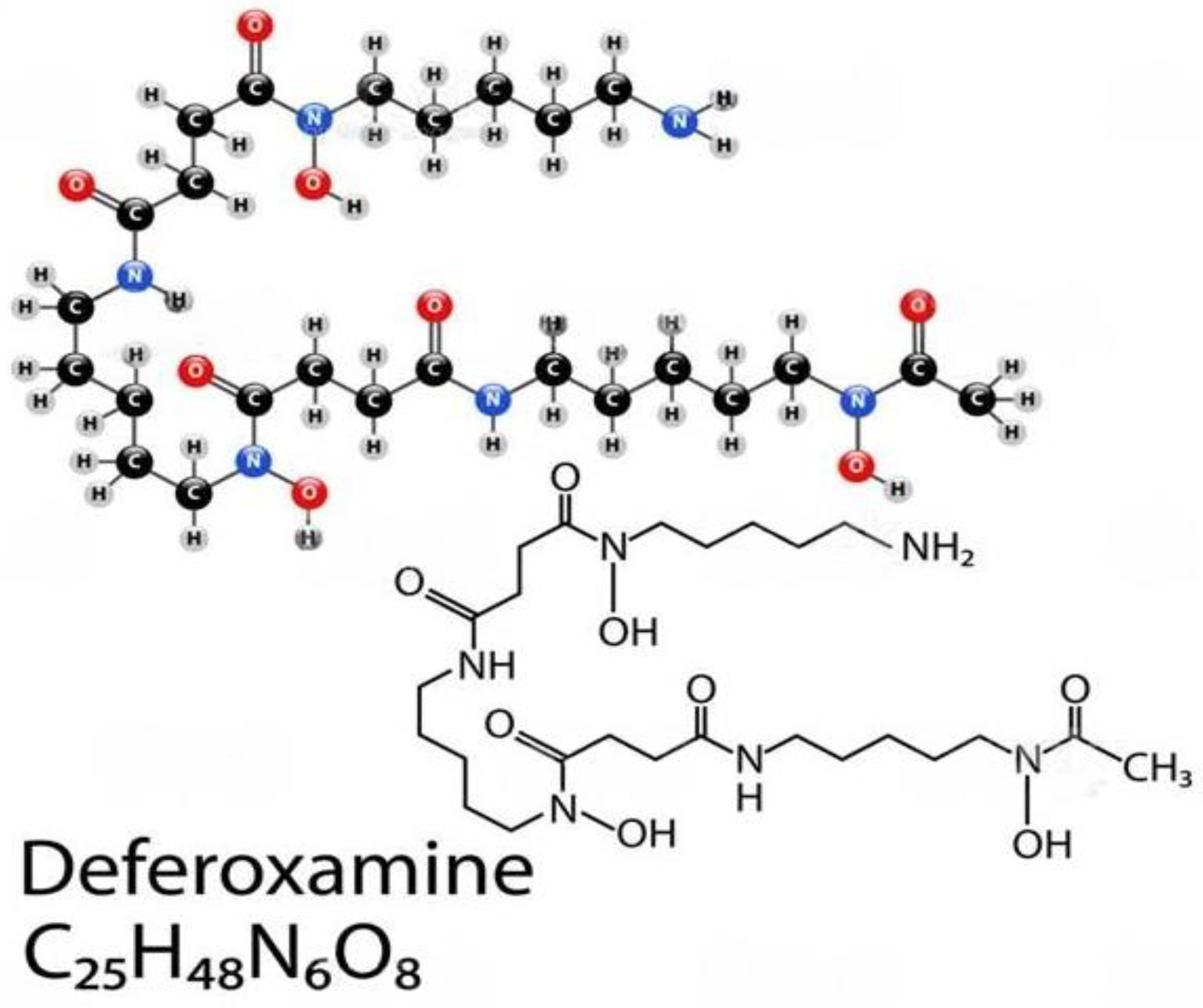 Medicina 59 01254 g006 Medicina 59 01254 g006