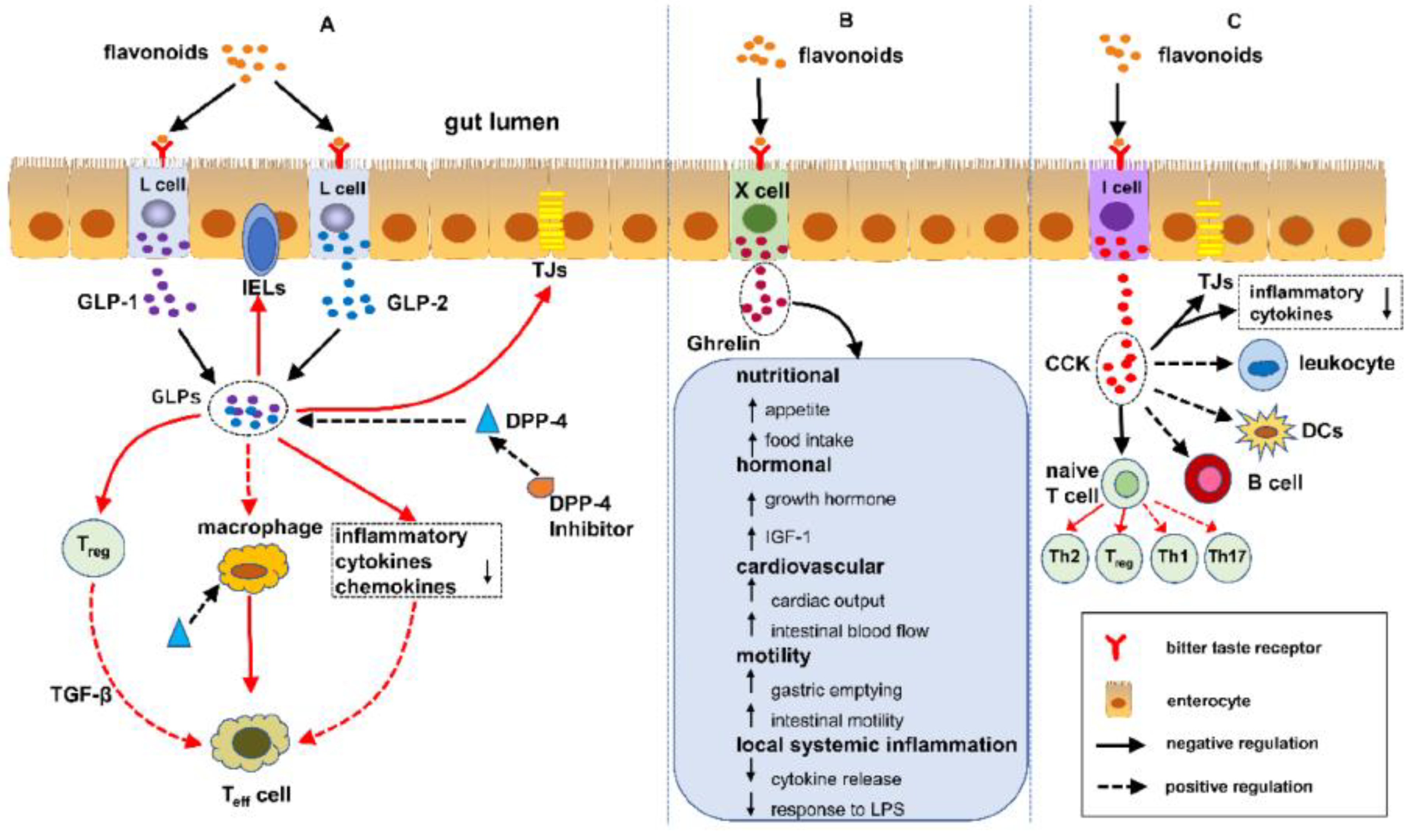 Medicina 59 01254 g007 Medicina 59 01254 g007