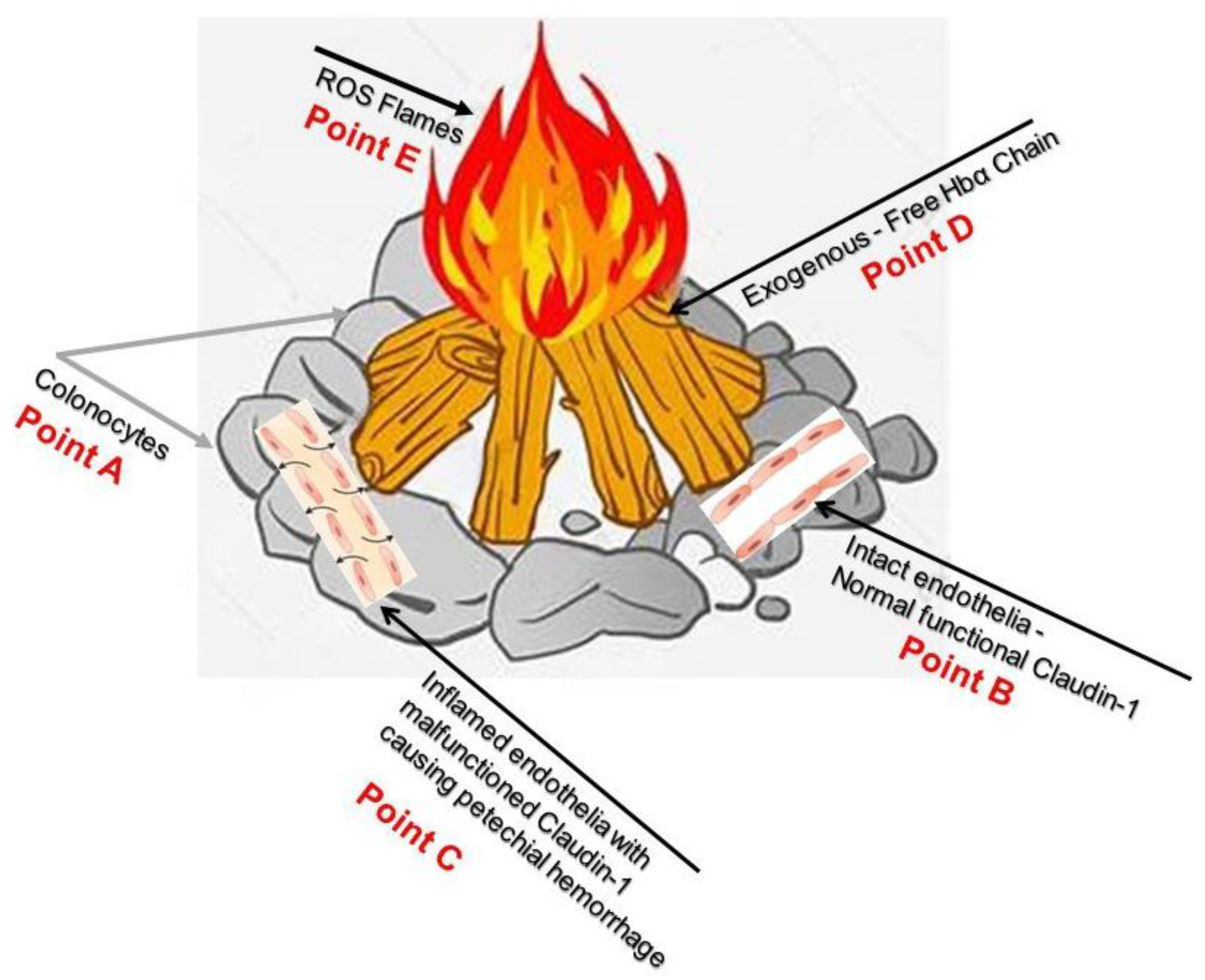 Medicina 59 01254 g008 Medicina 59 01254 g008