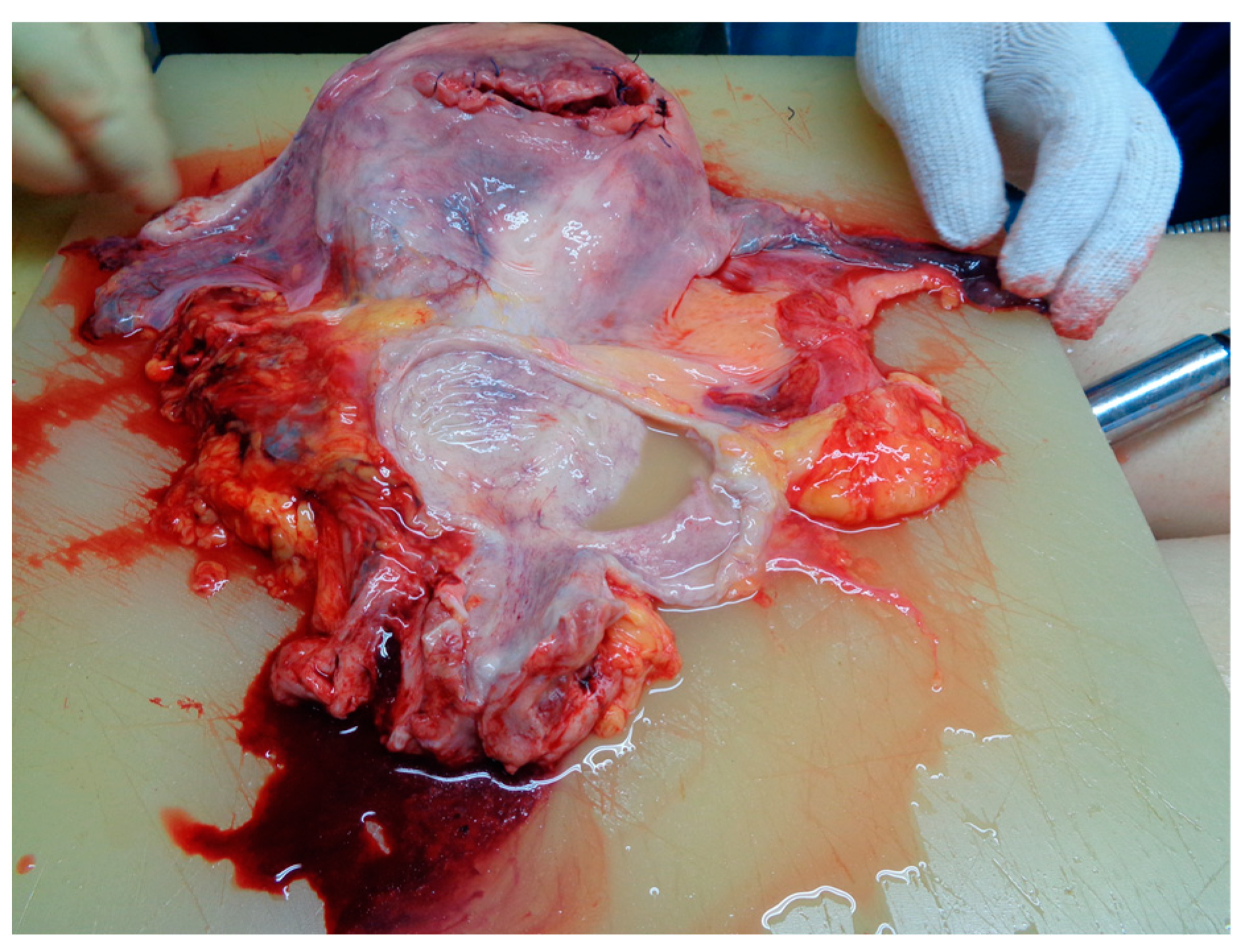 Medicina 59 01257 g001