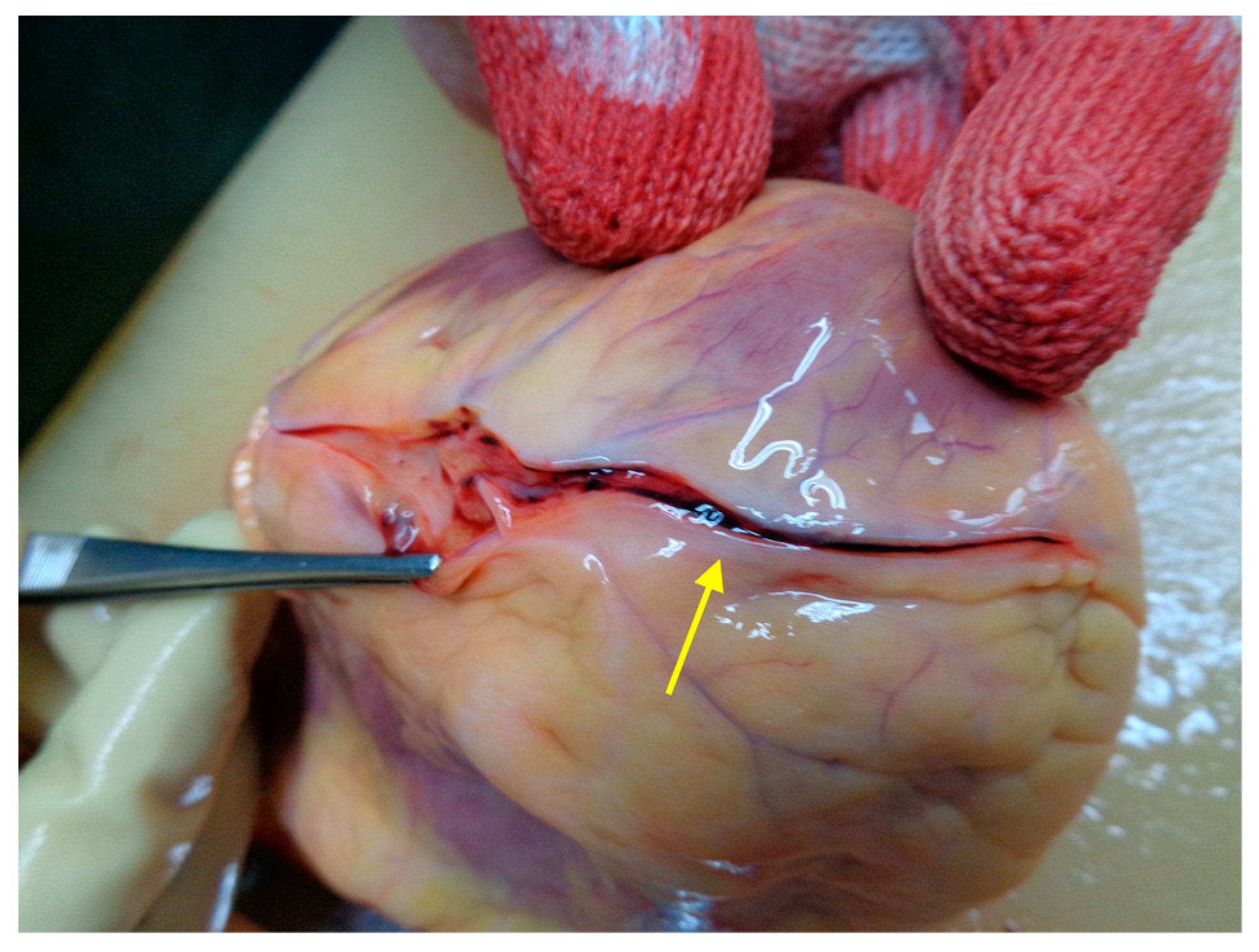 Medicina 59 01257 g003