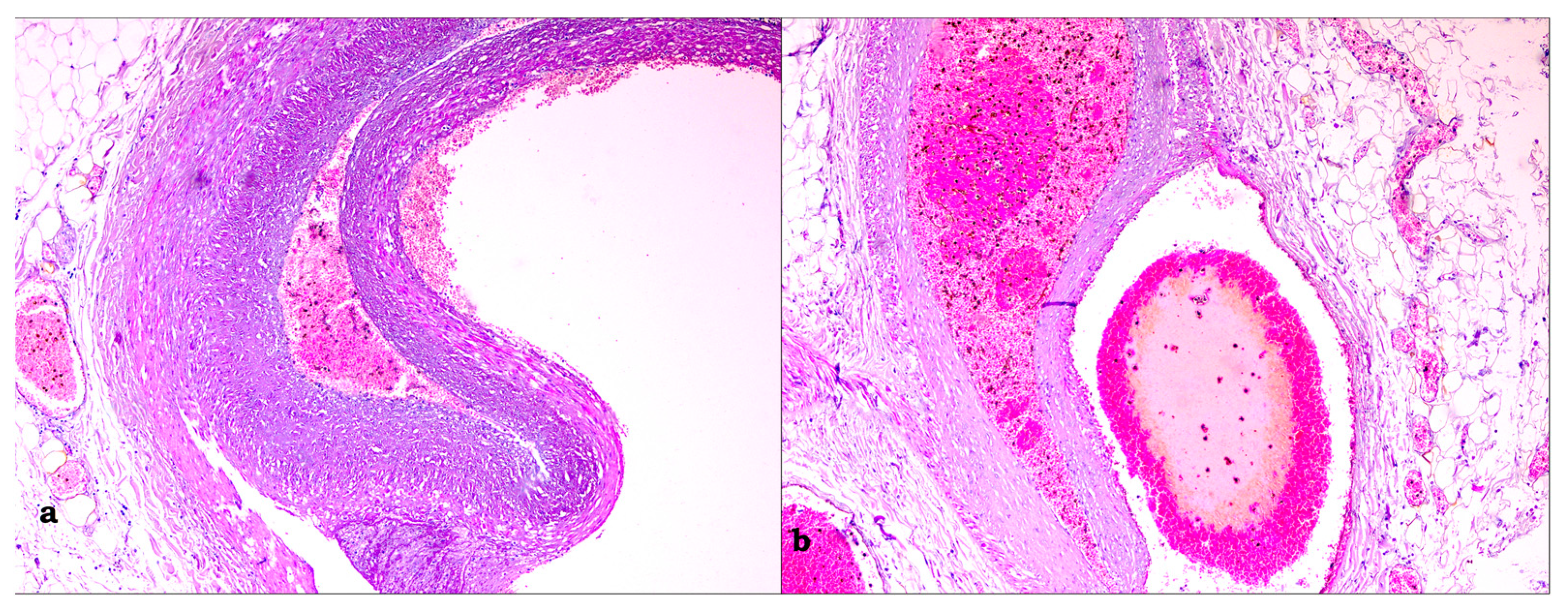 Medicina 59 01257 g009