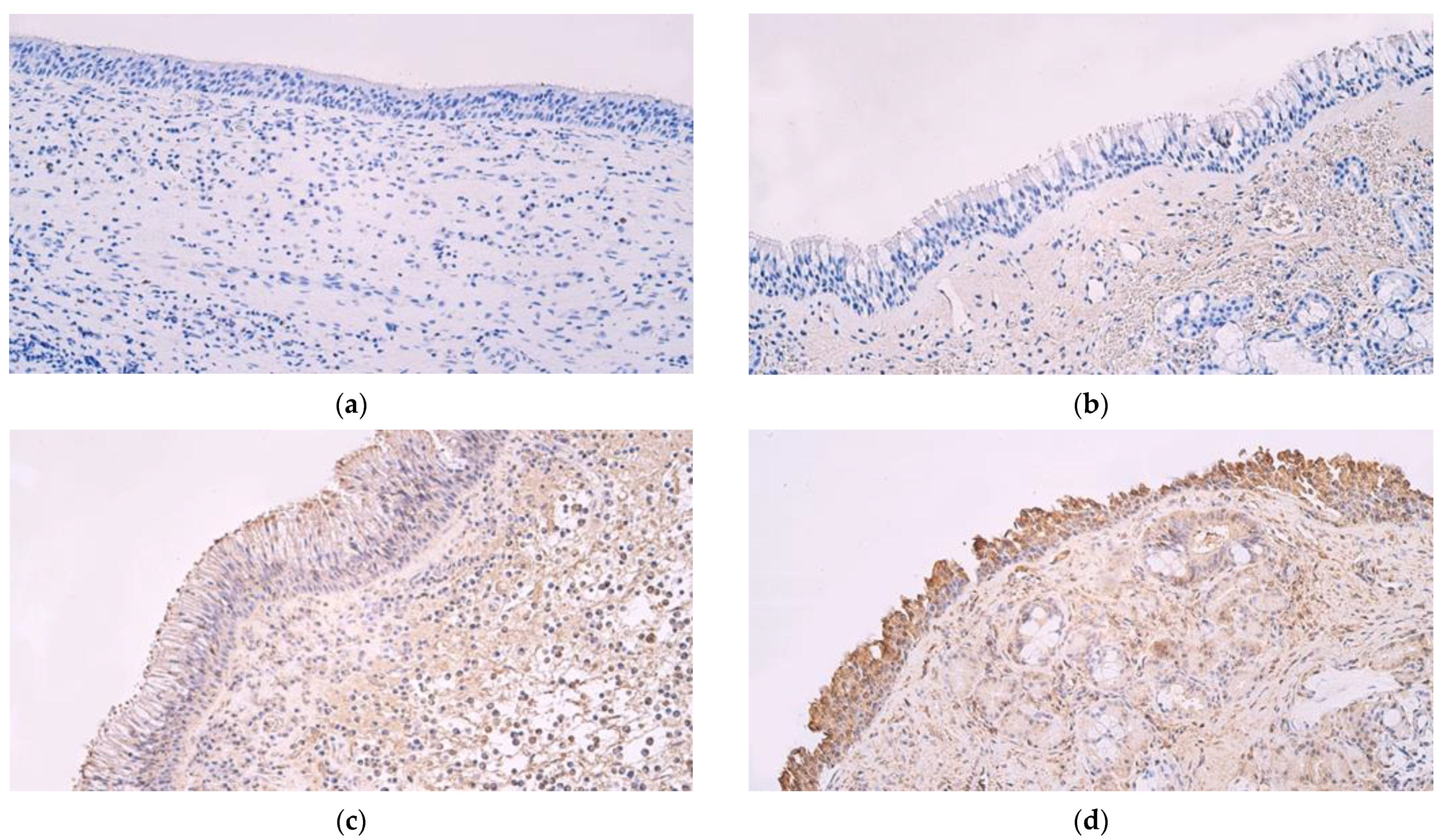 Medicina 59 01259 g002 Medicina 59 01259 g002