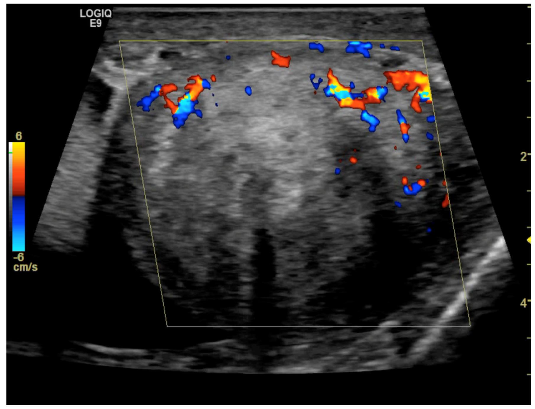 Medicina 59 01261 g003