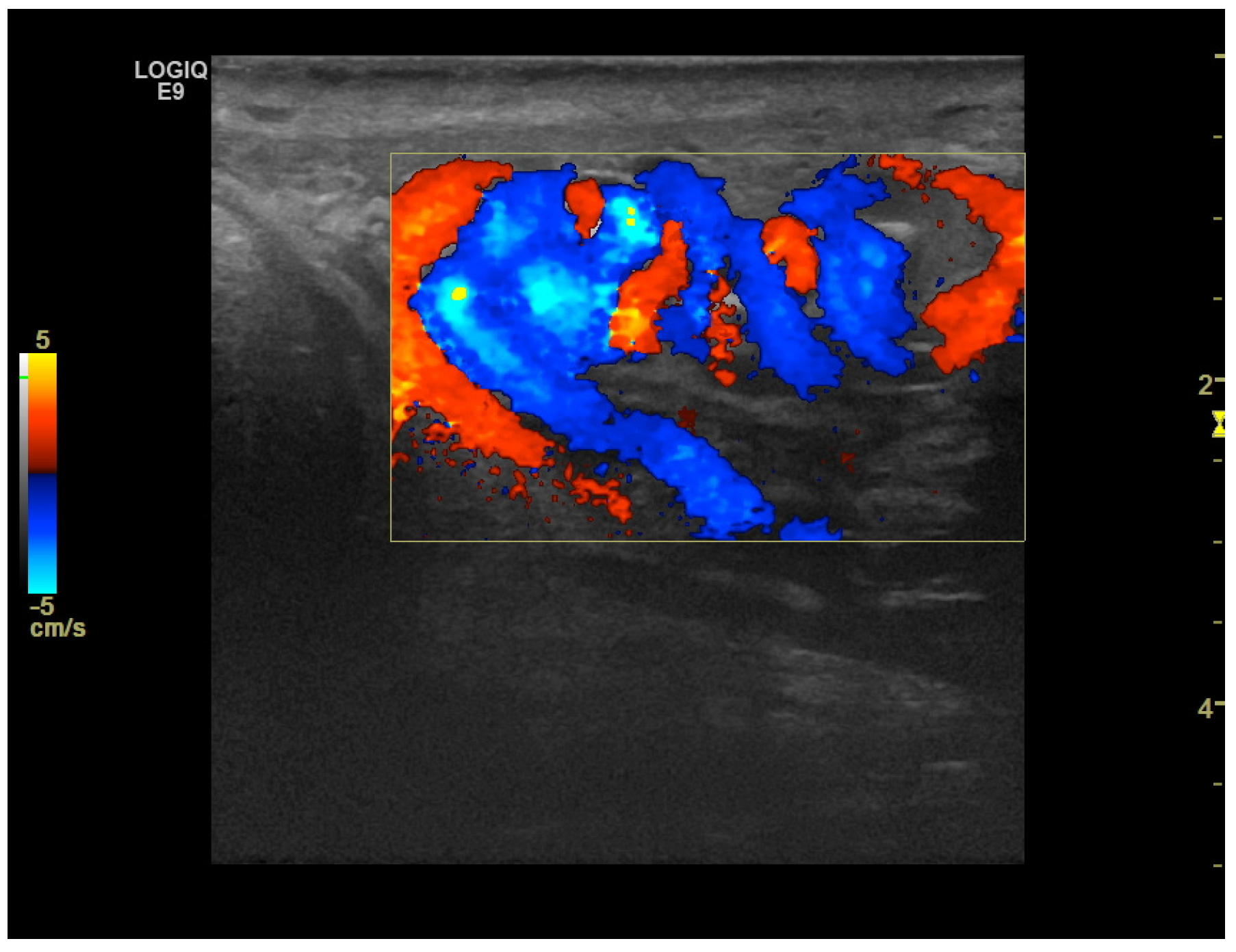 Medicina 59 01261 g004