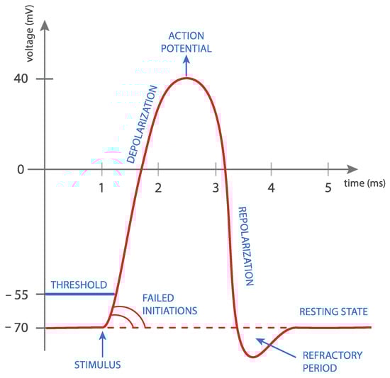 Medicina 59 01286 g001