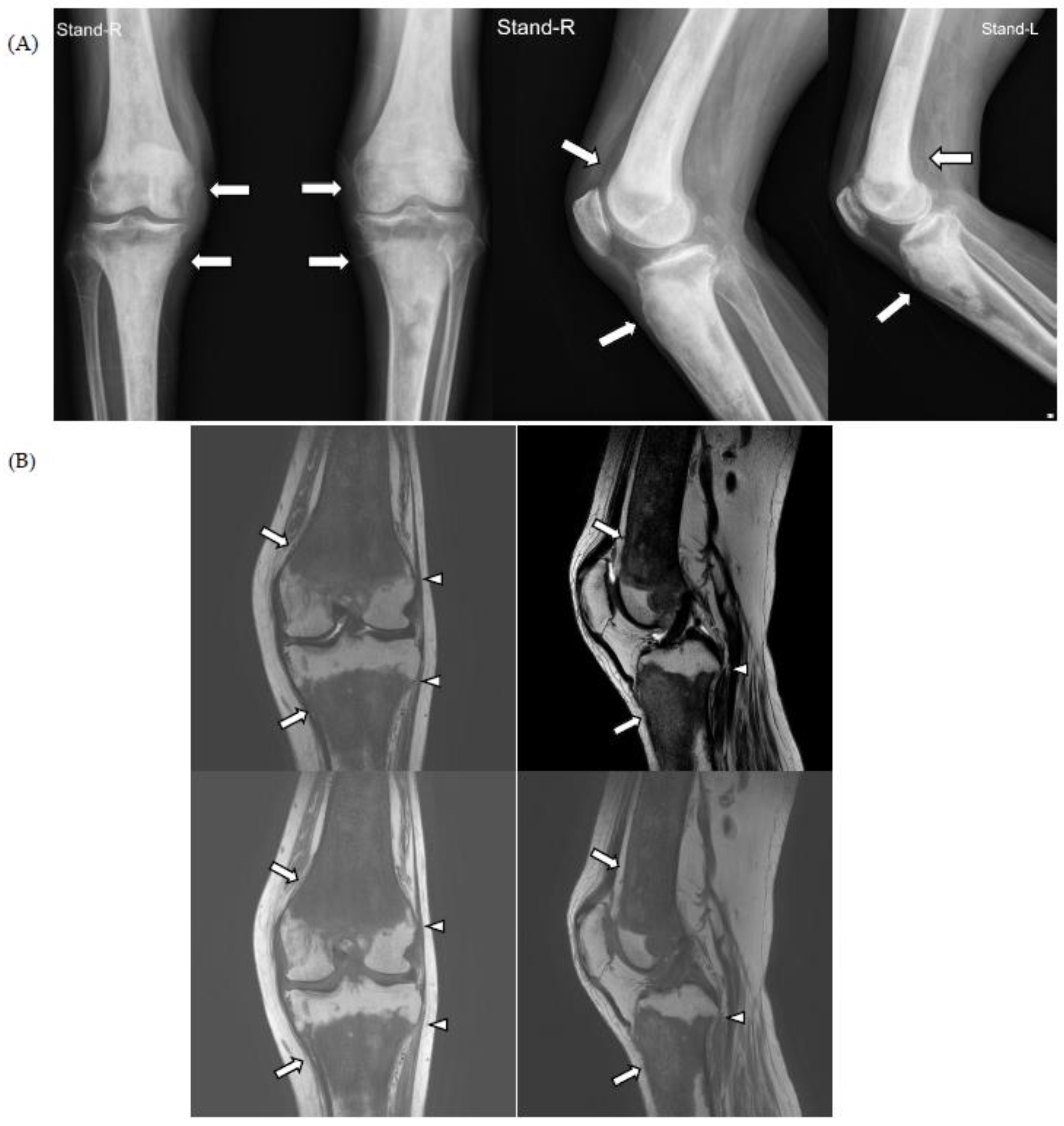 Medicina 59 01288 g001 Medicina 59 01288 g001