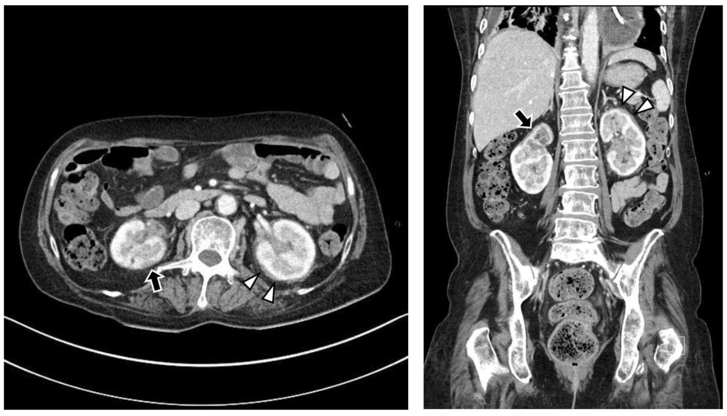 Medicina 59 01288 g003 Medicina 59 01288 g003