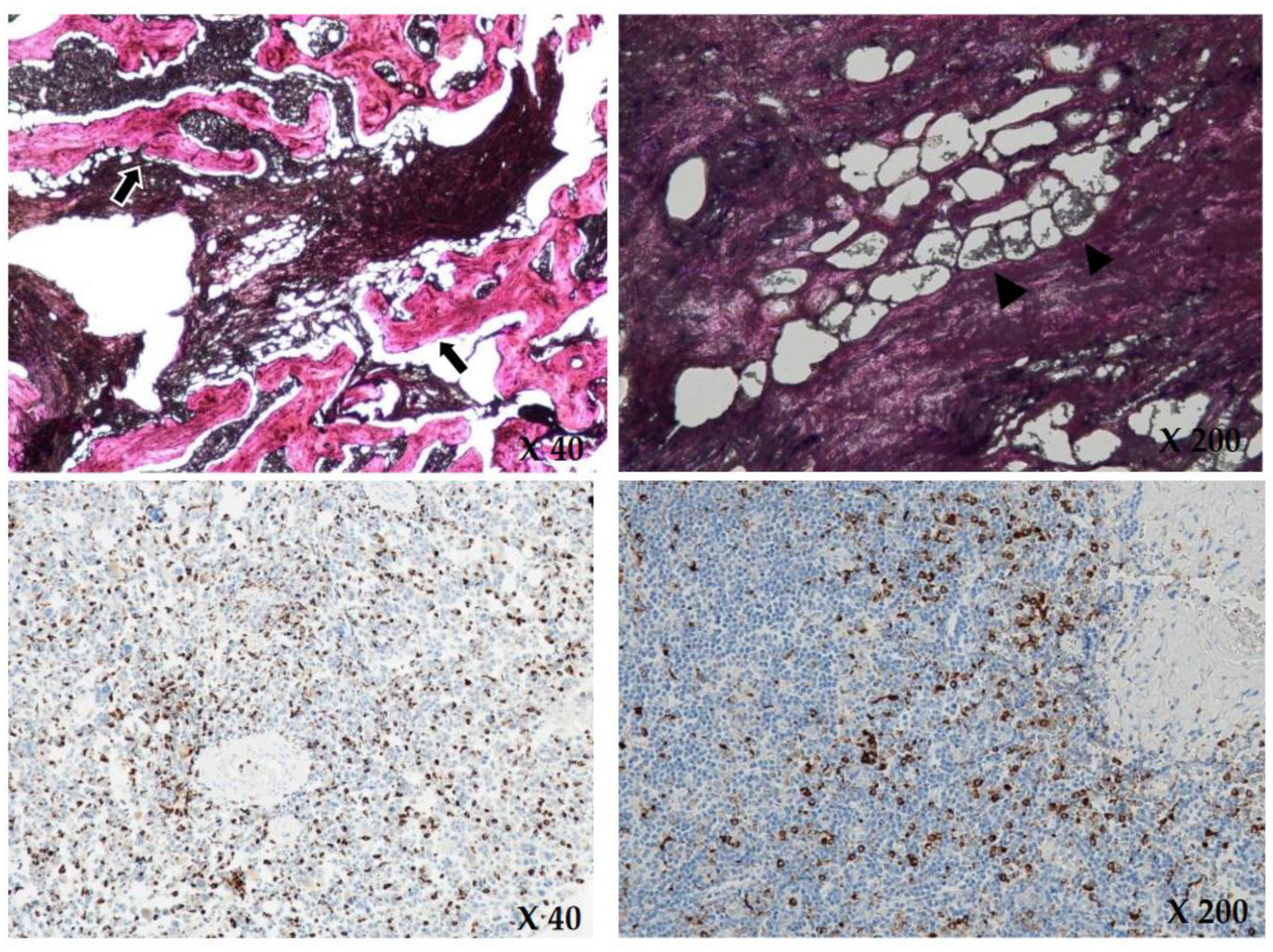 Medicina 59 01288 g005 Medicina 59 01288 g005