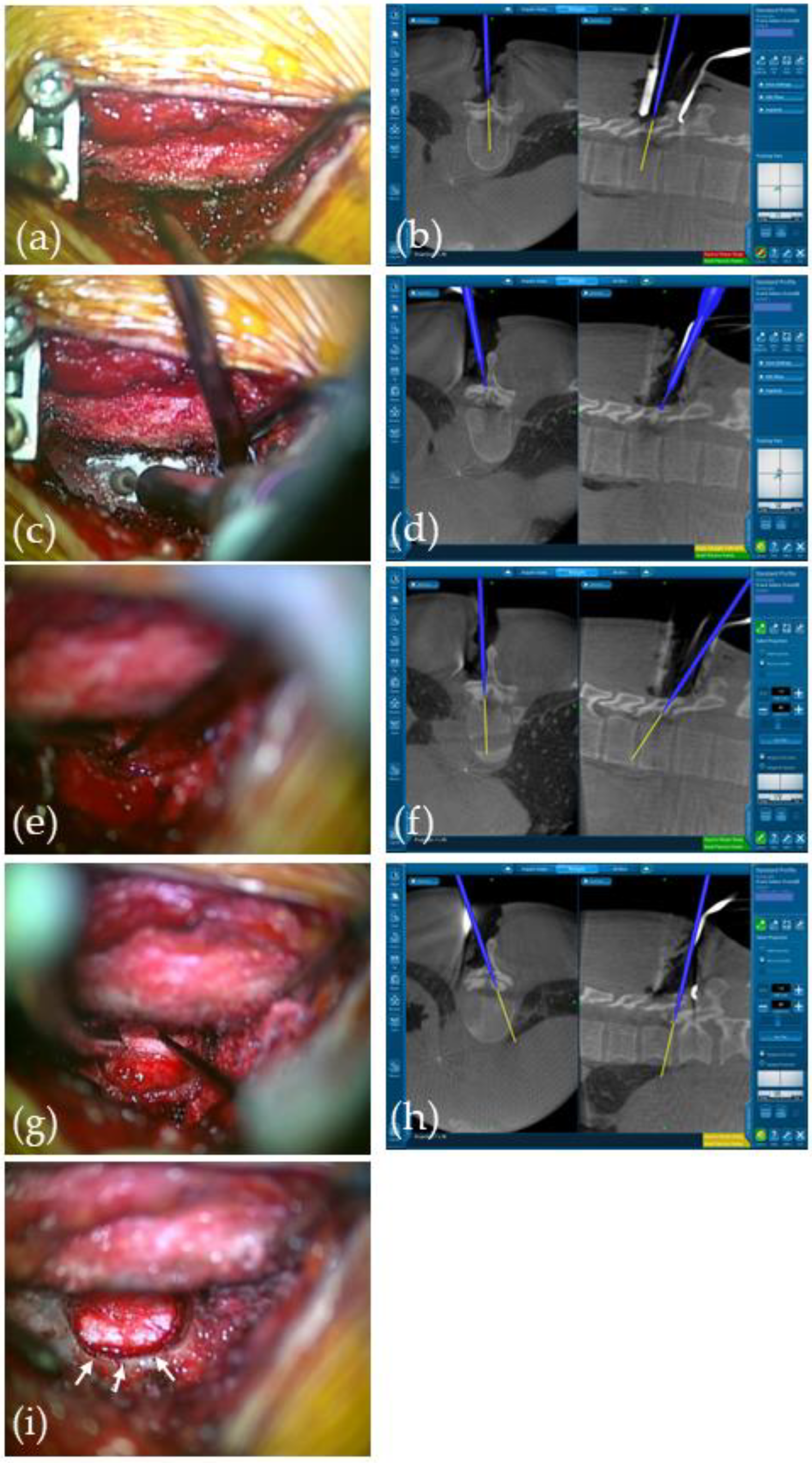 Medicina 59 01303 g003