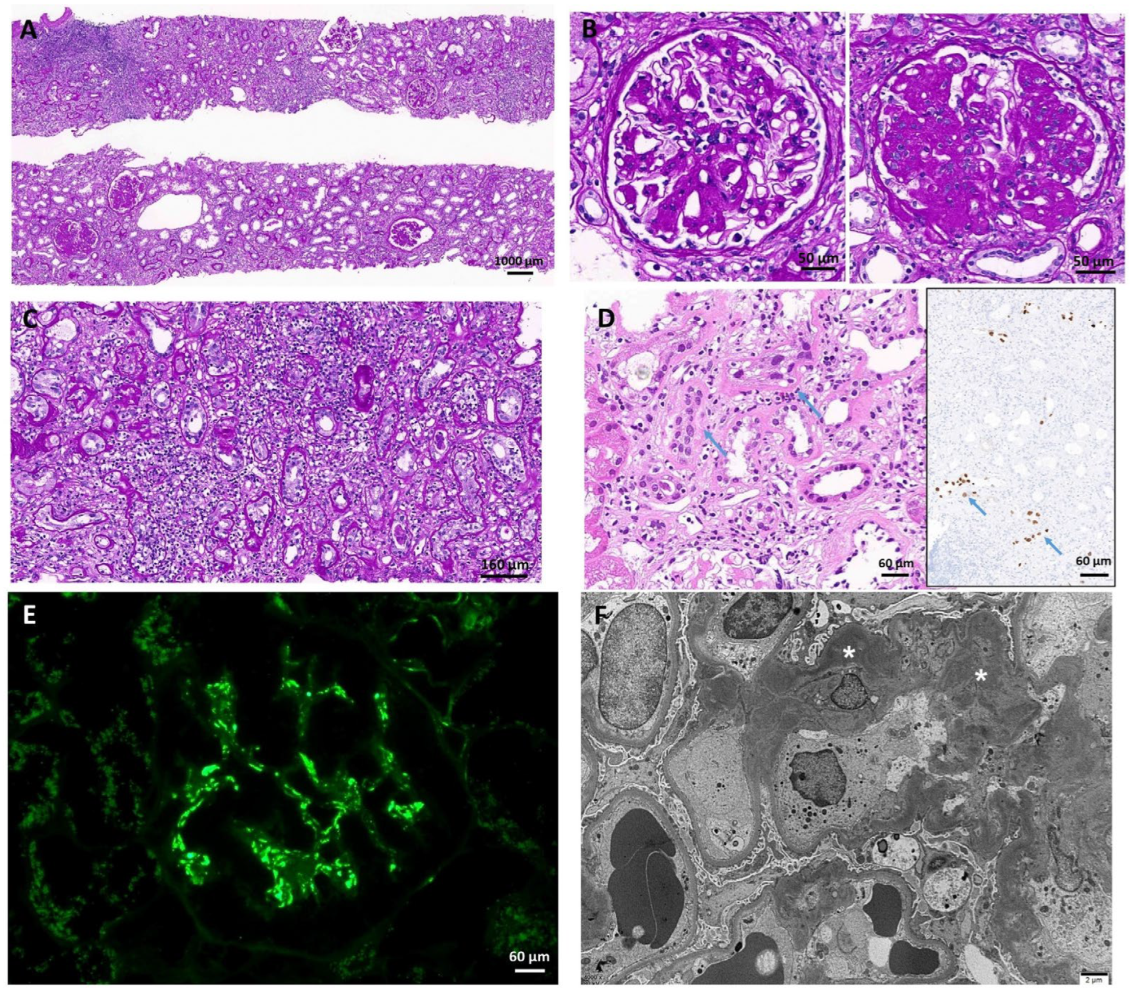 Medicina 59 01308 g004 Medicina 59 01308 g004
