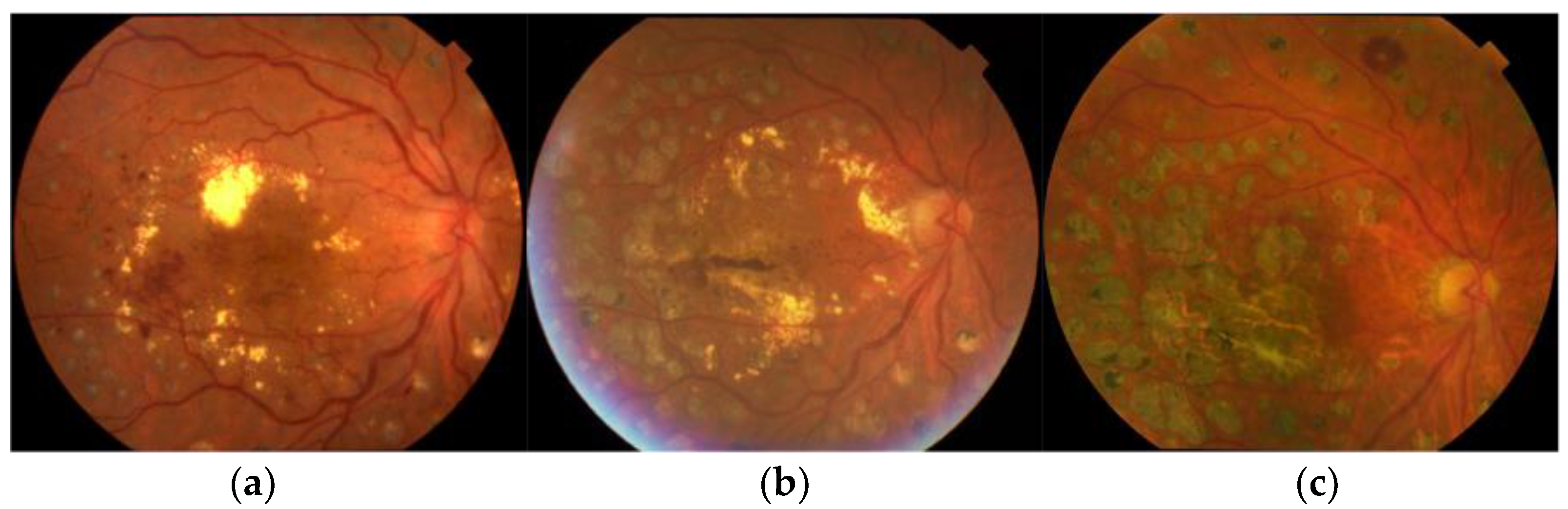 Medicina 59 01319 g001