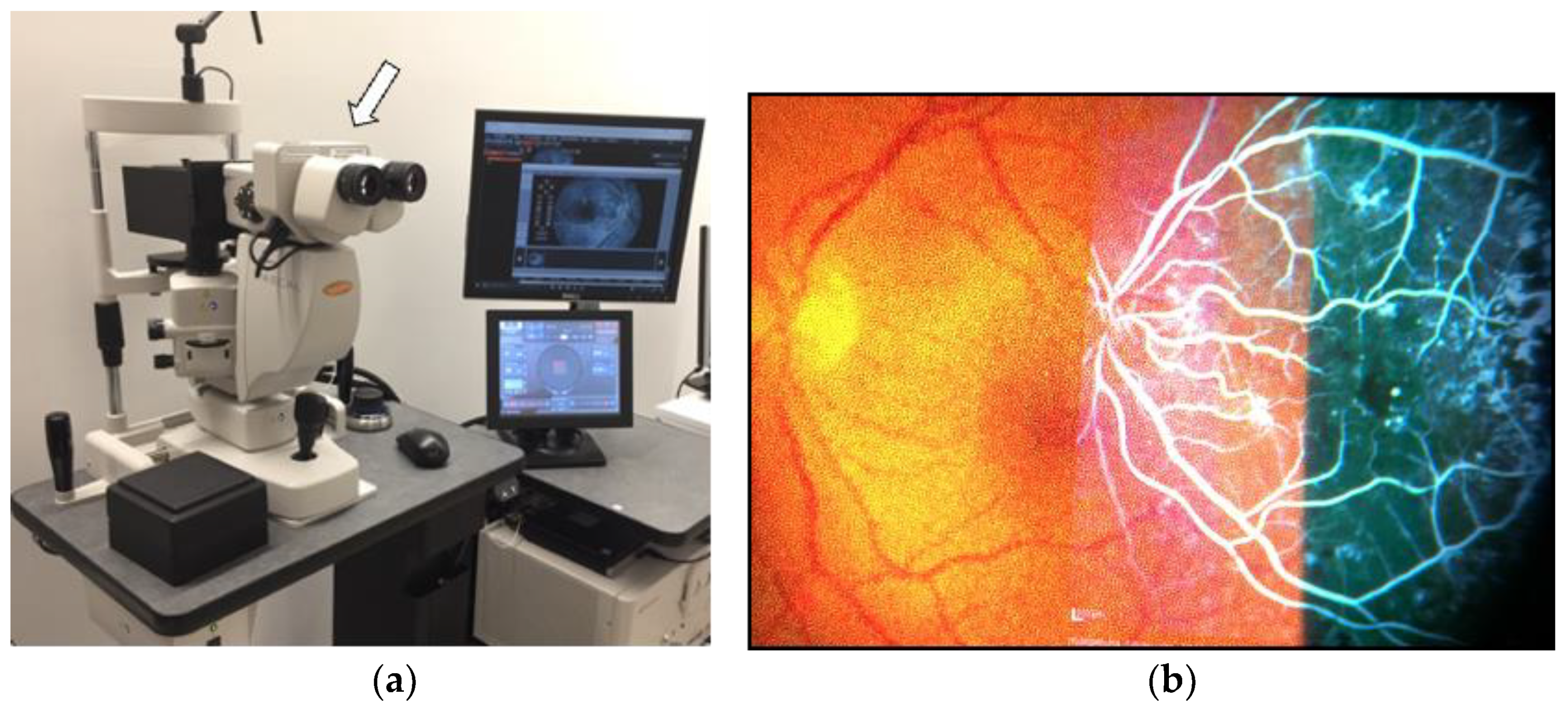 Medicina 59 01319 g005