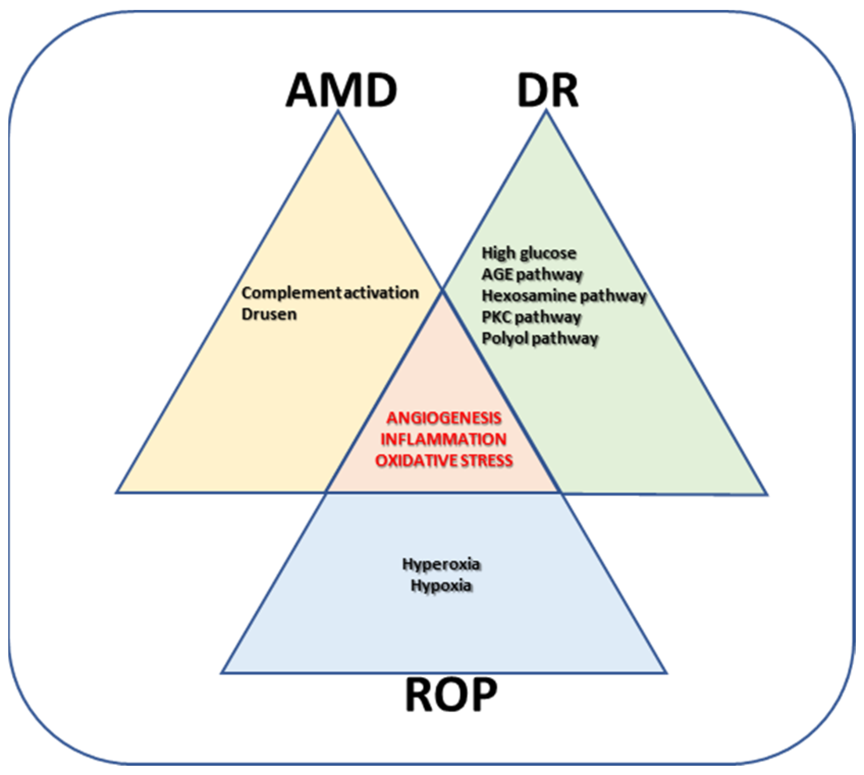 Medicina 59 01334 g001 Medicina 59 01334 g001