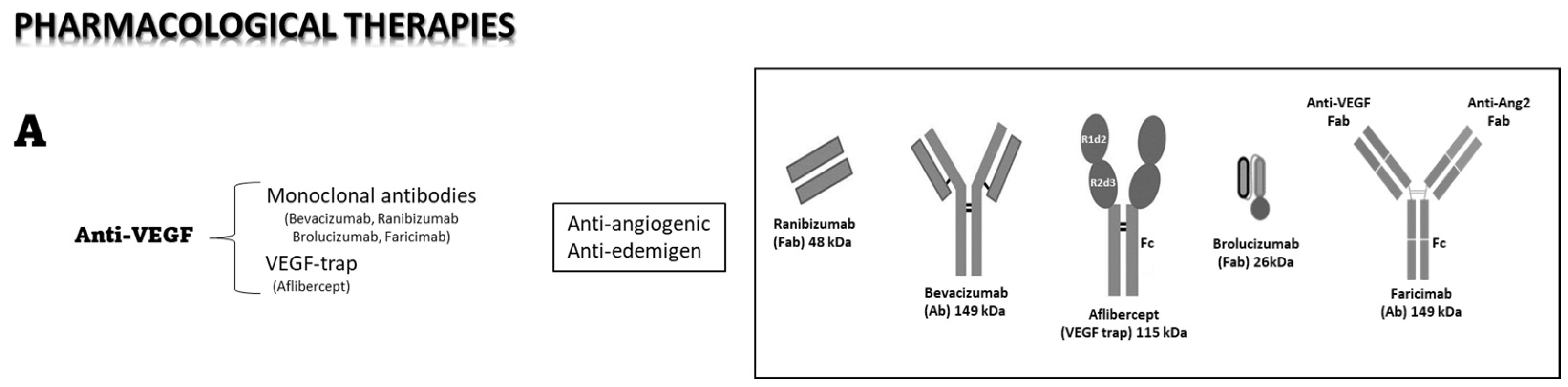 Medicina 59 01334 g002a Medicina 59 01334 g002a