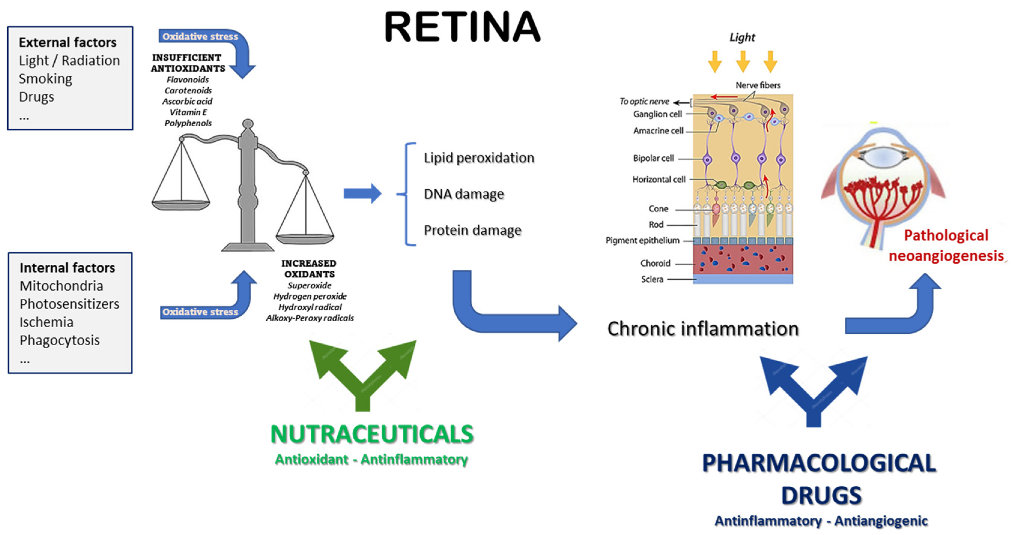 Medicina 59 01334 g003 Medicina 59 01334 g003