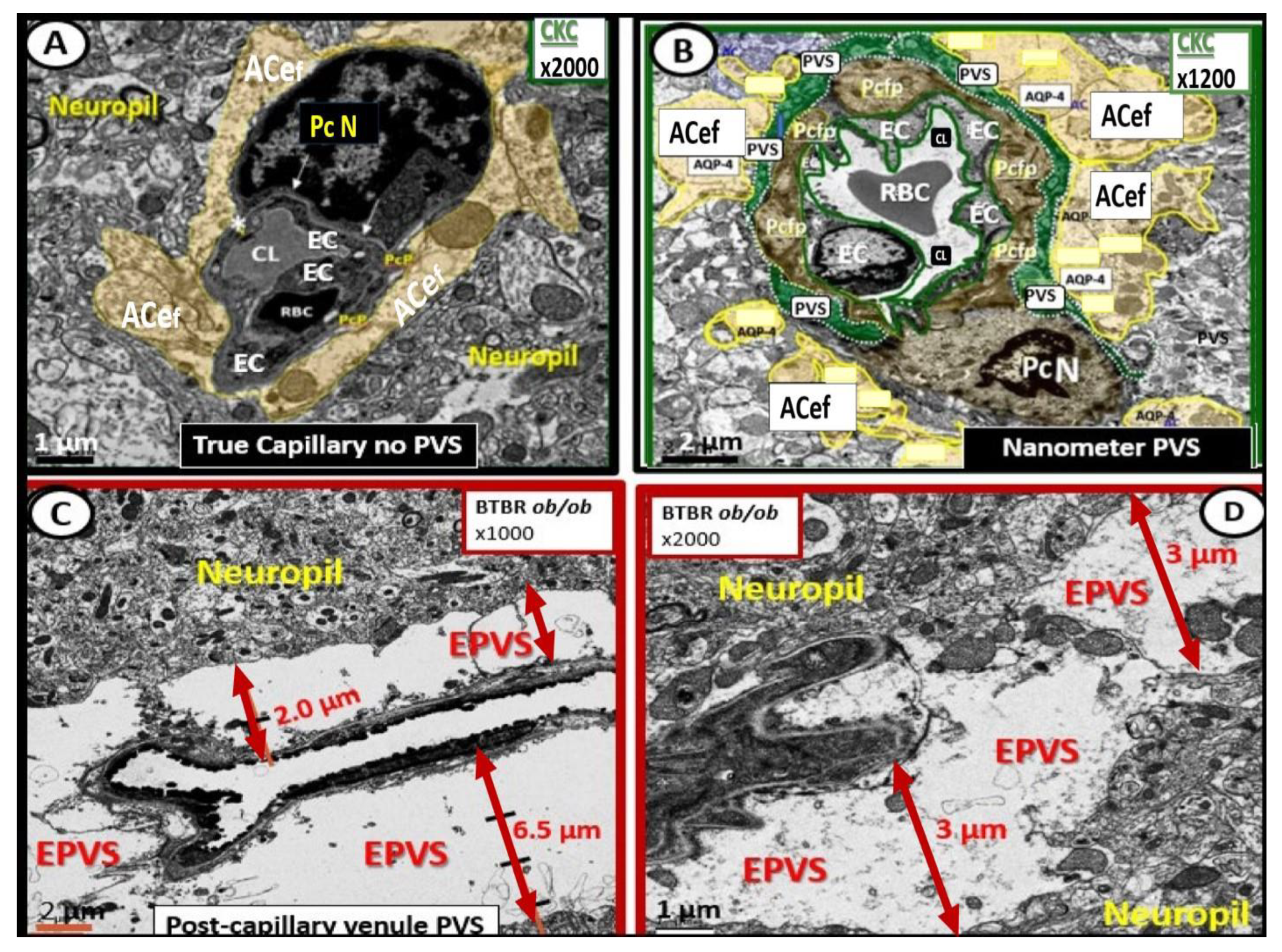 Medicina 59 01337 g004 Medicina 59 01337 g004