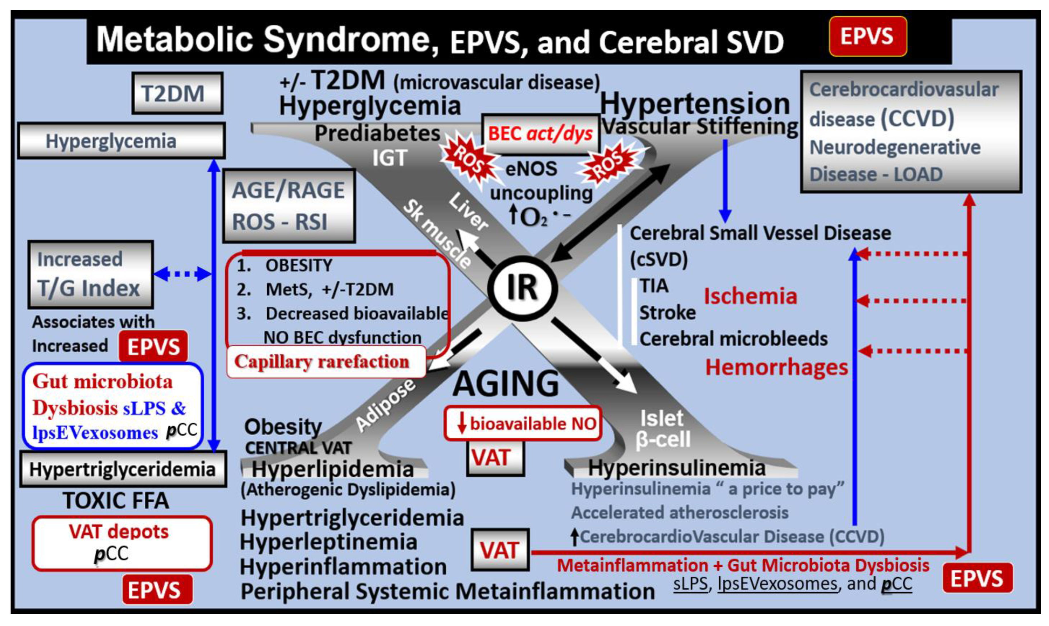 Medicina 59 01337 g005 Medicina 59 01337 g005
