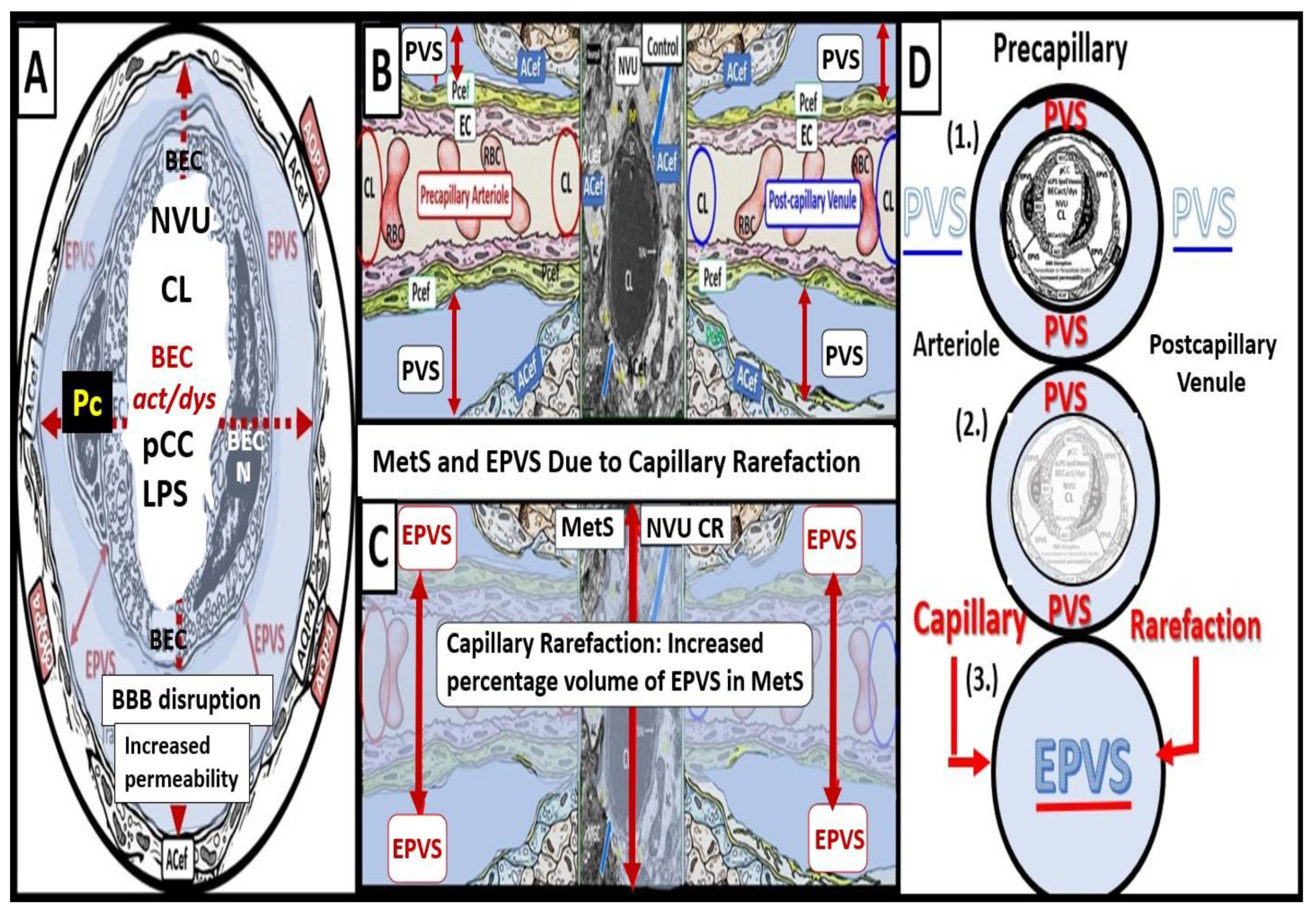 Medicina 59 01337 g006 Medicina 59 01337 g006