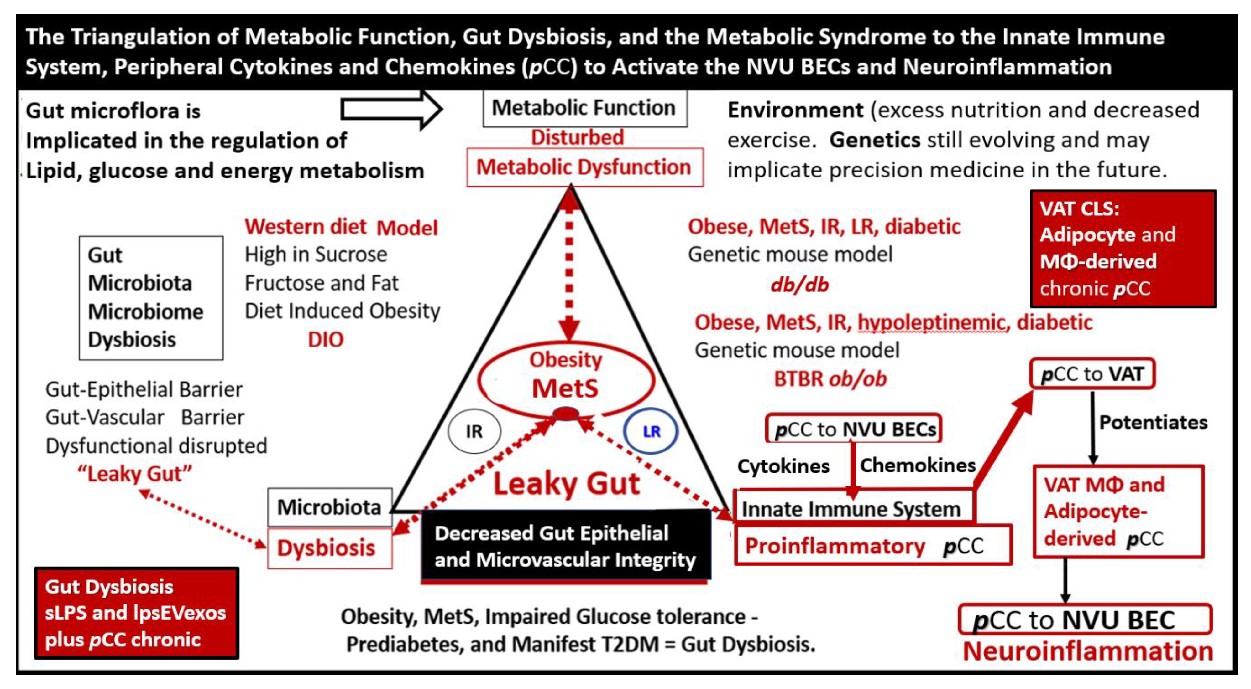 Medicina 59 01337 g007 Medicina 59 01337 g007