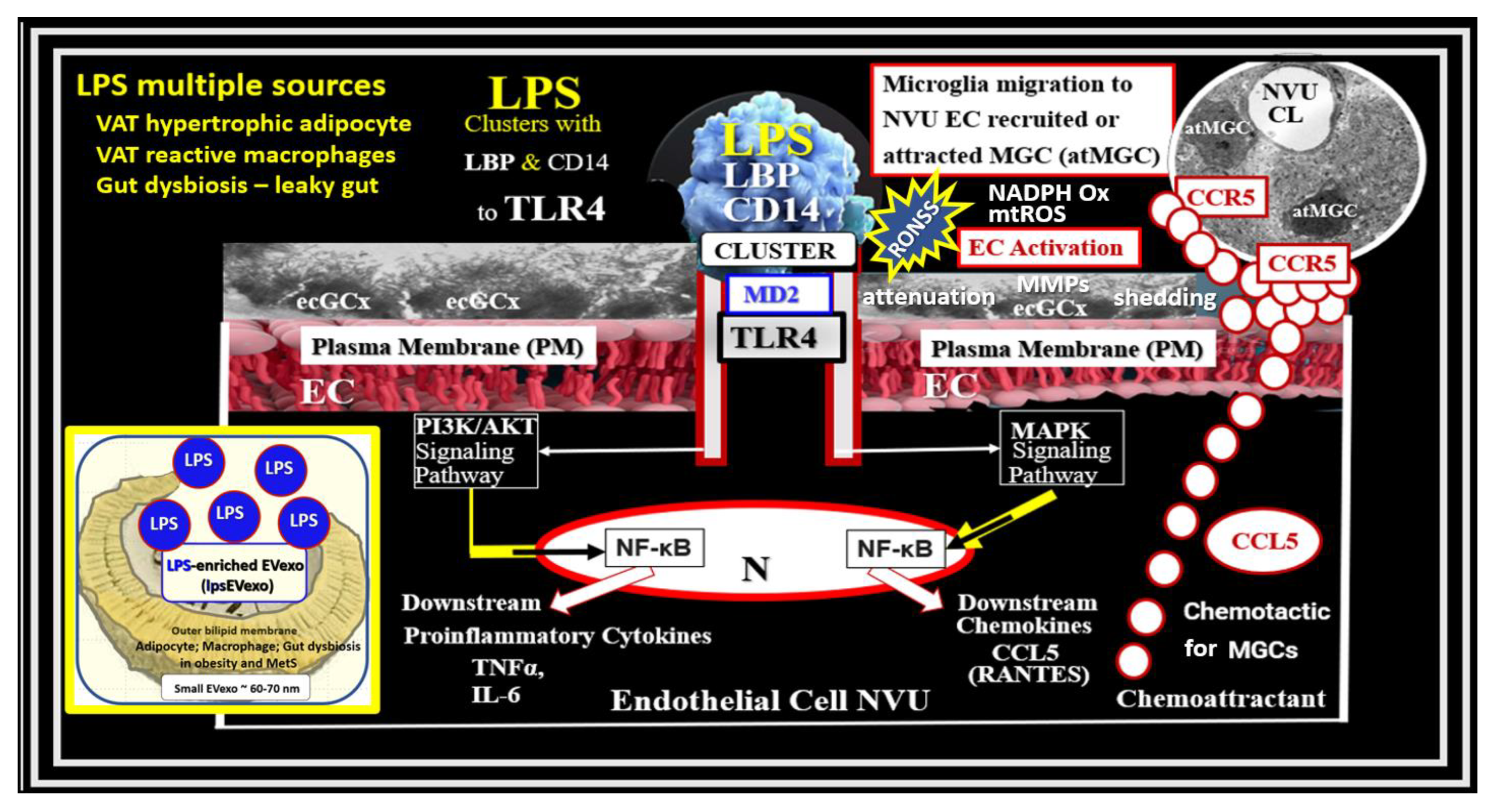 Medicina 59 01337 g008 Medicina 59 01337 g008